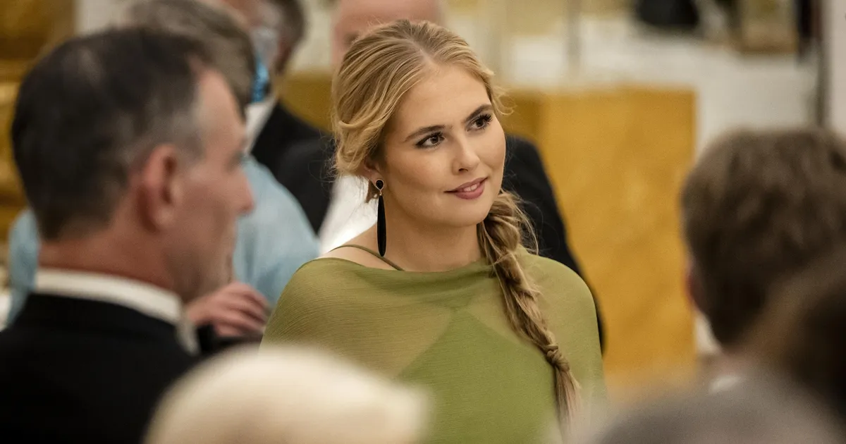 Princess Amalia Wears Affordable Mango Dress at Palace Dinner