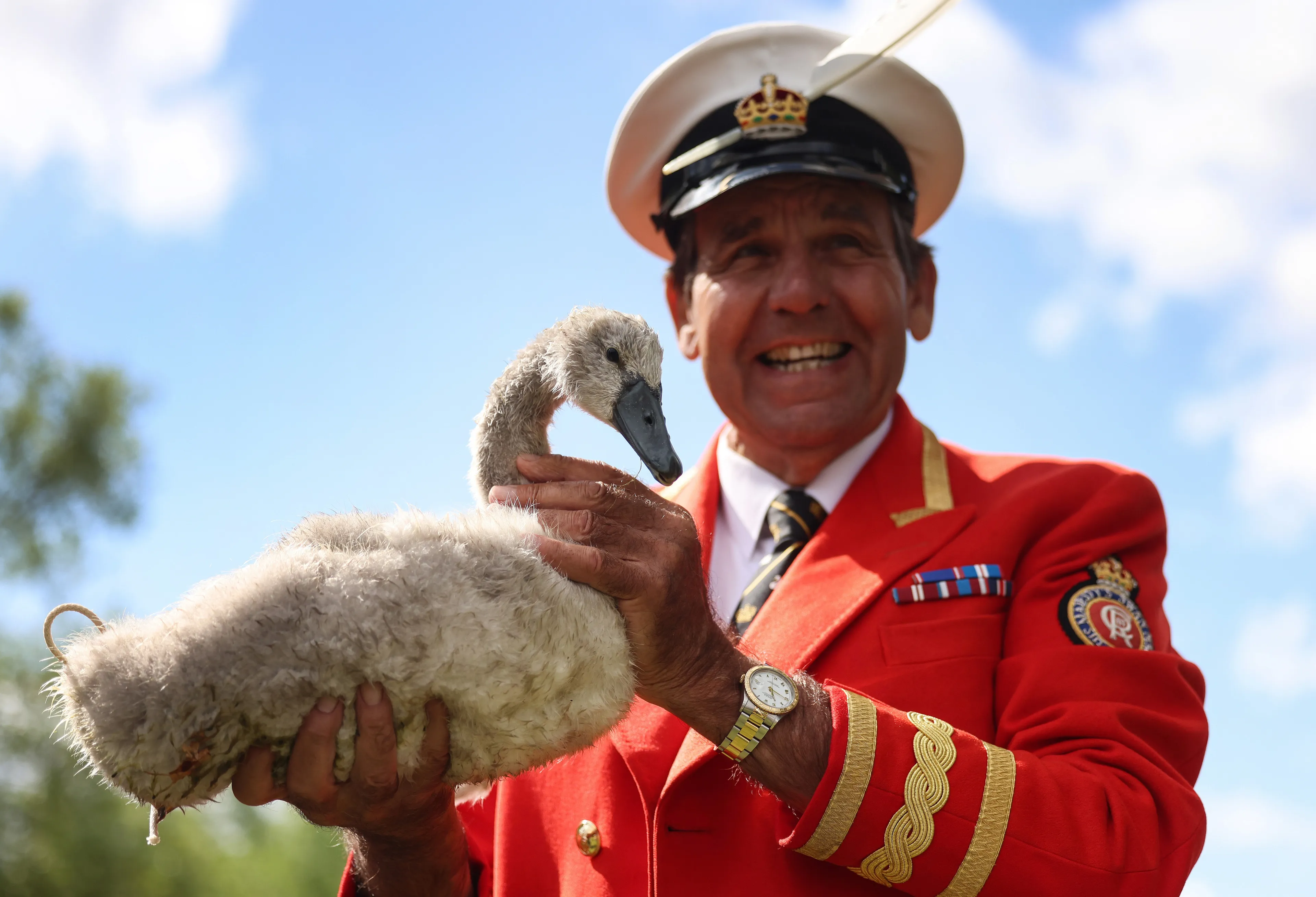 De koninklijke Marker van de zwanen David Barber (2025).