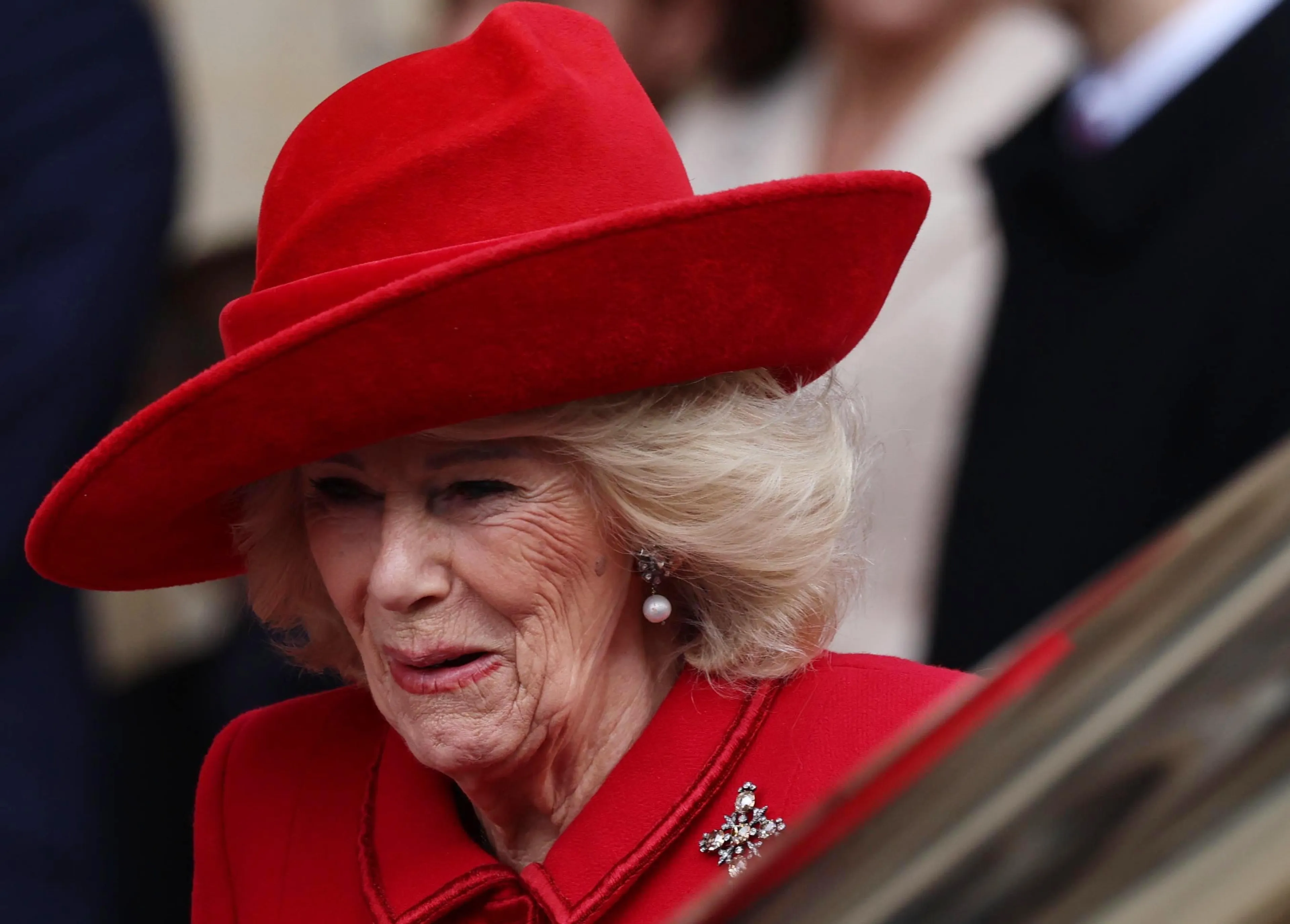 De hoed van koningin Camilla is van Philip Treacy.