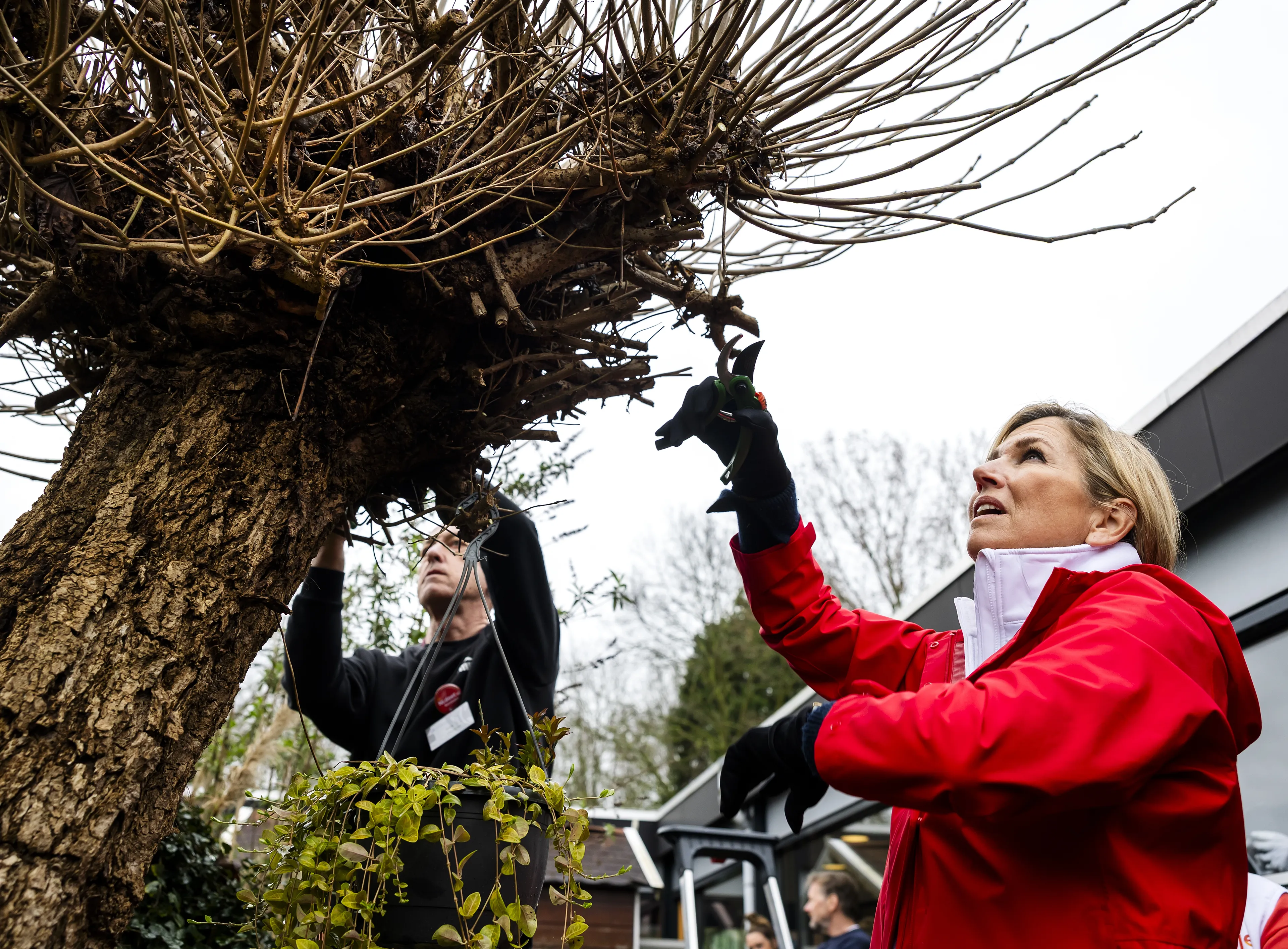 Ze krijgt gelukkig hulp van andere vrijwilligers.