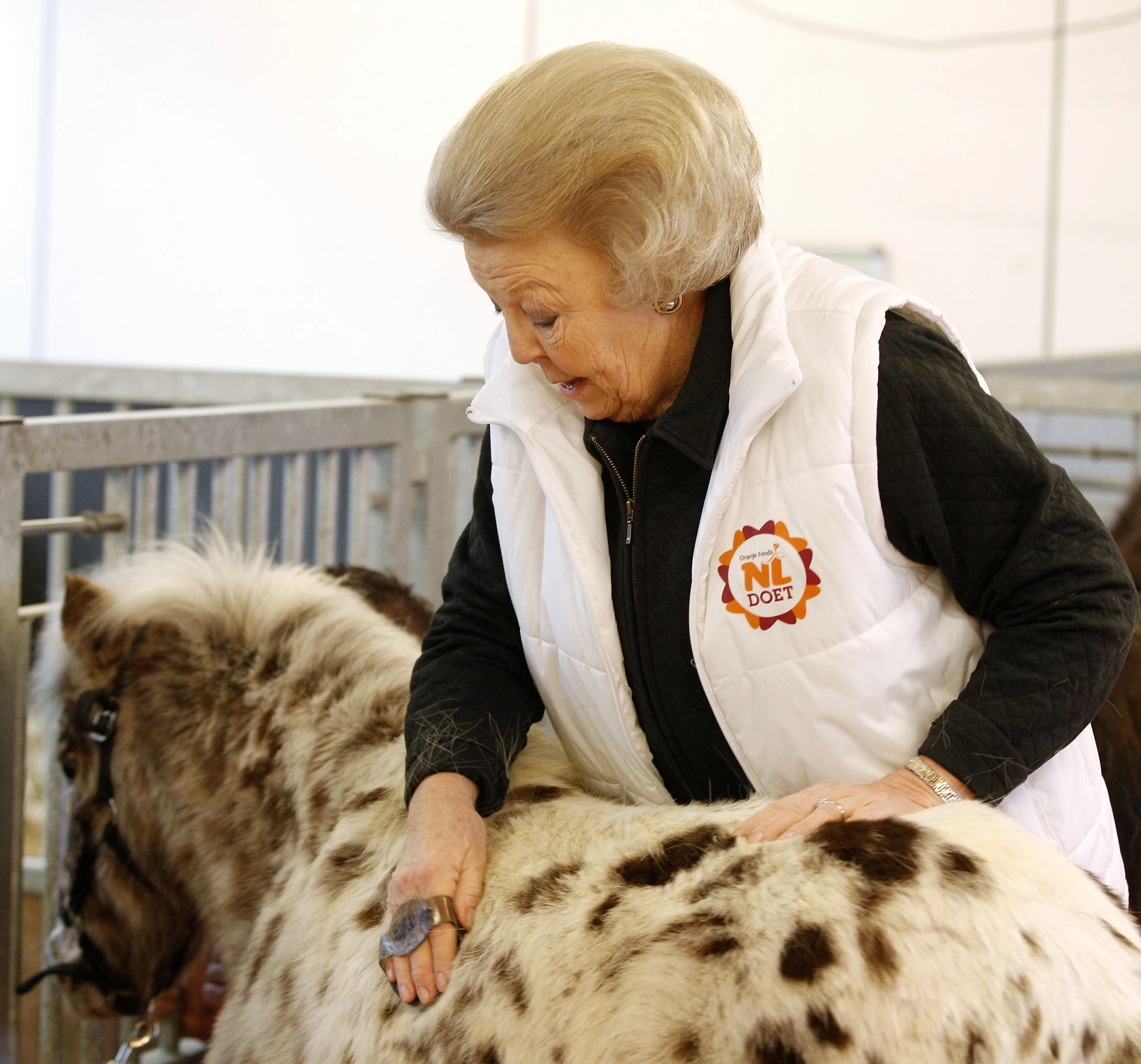 Tijdens NL doet wordt een minipaard door de koningin geborsteld (2013).