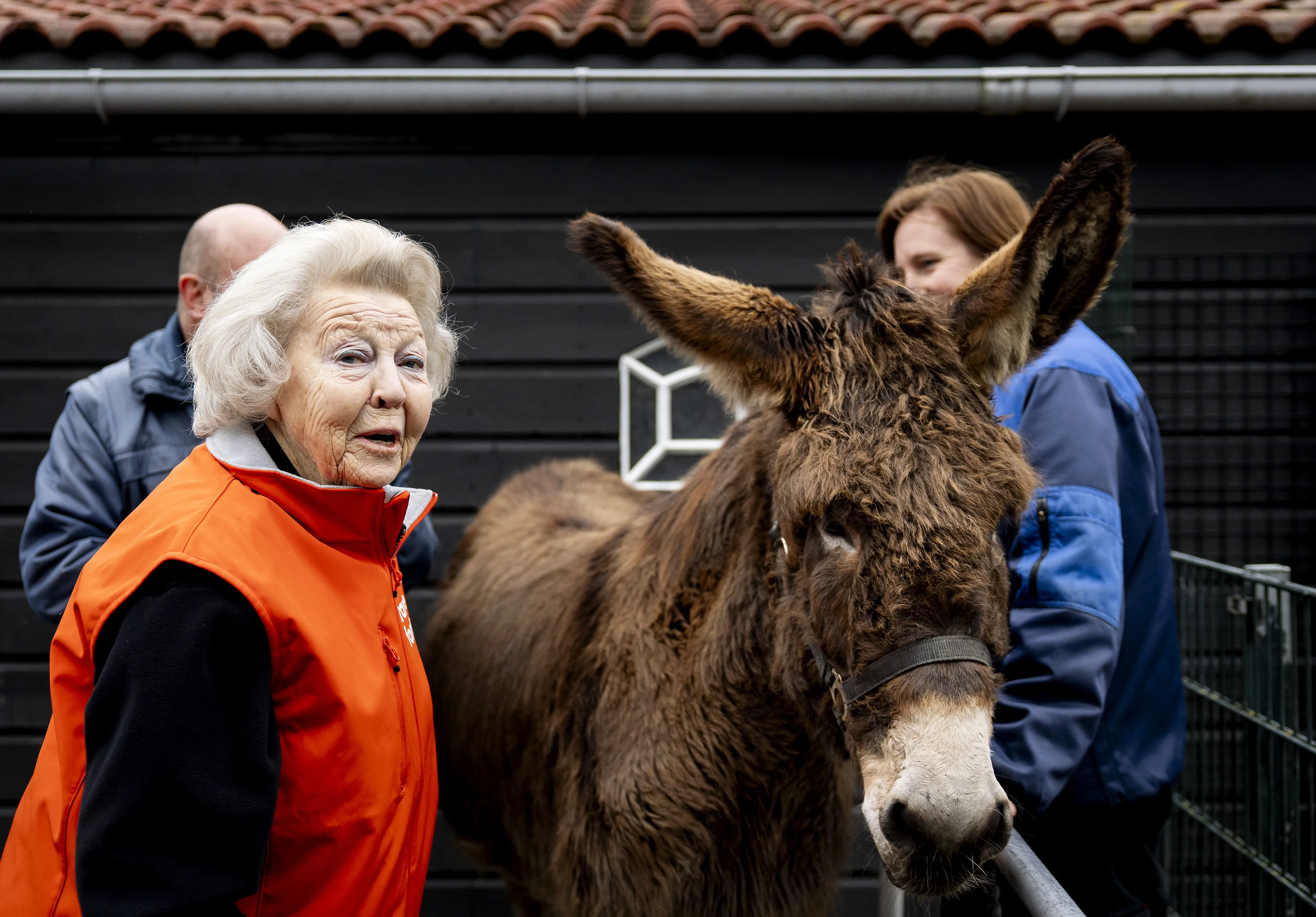 Ook de ezels krijgen aandacht van prinses Beatrix.