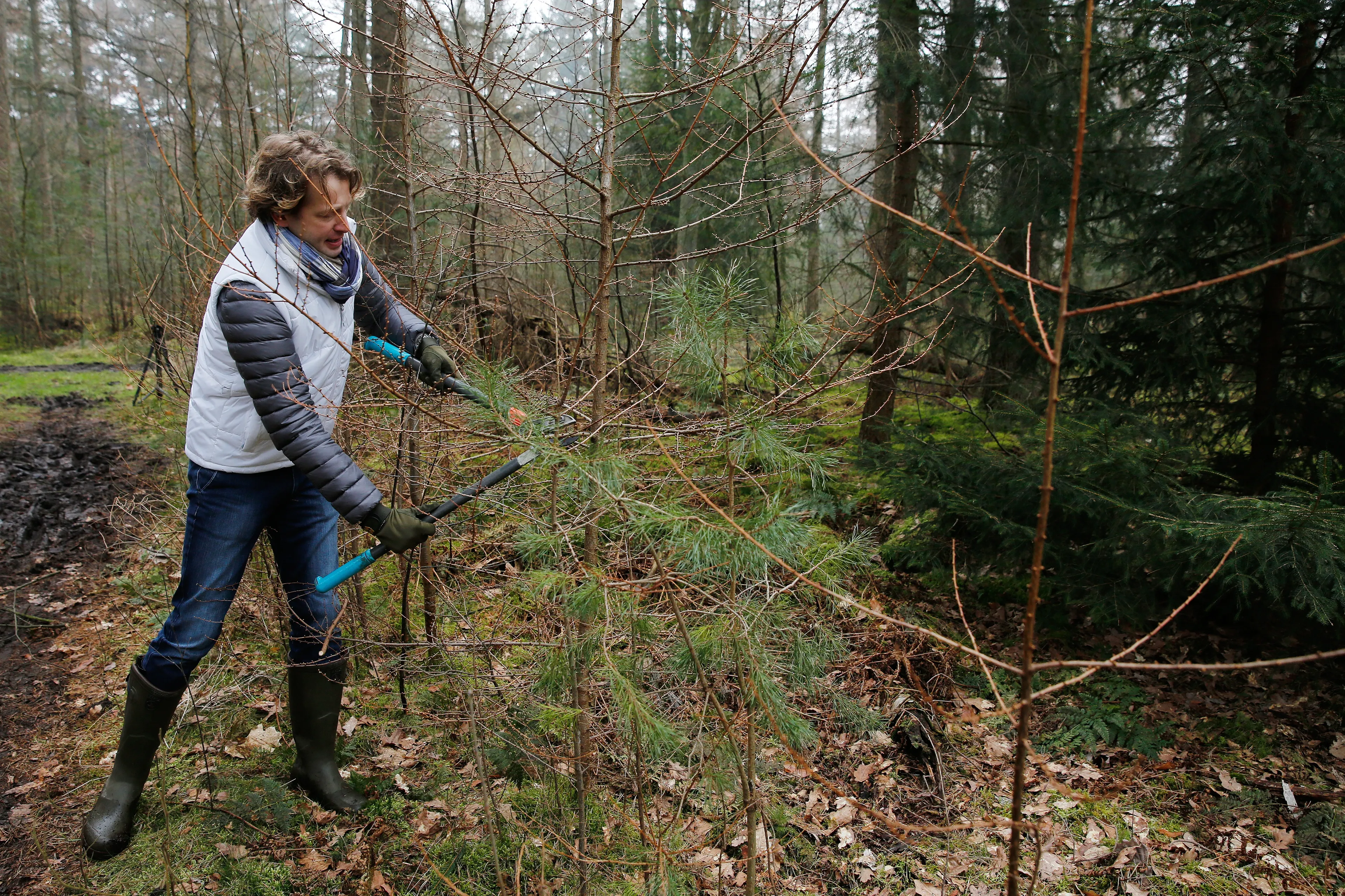 Prins Floris knipt wat takken weg.