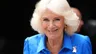 Zó combineert koningin Camilla haar liefde voor dieren in haar outfits