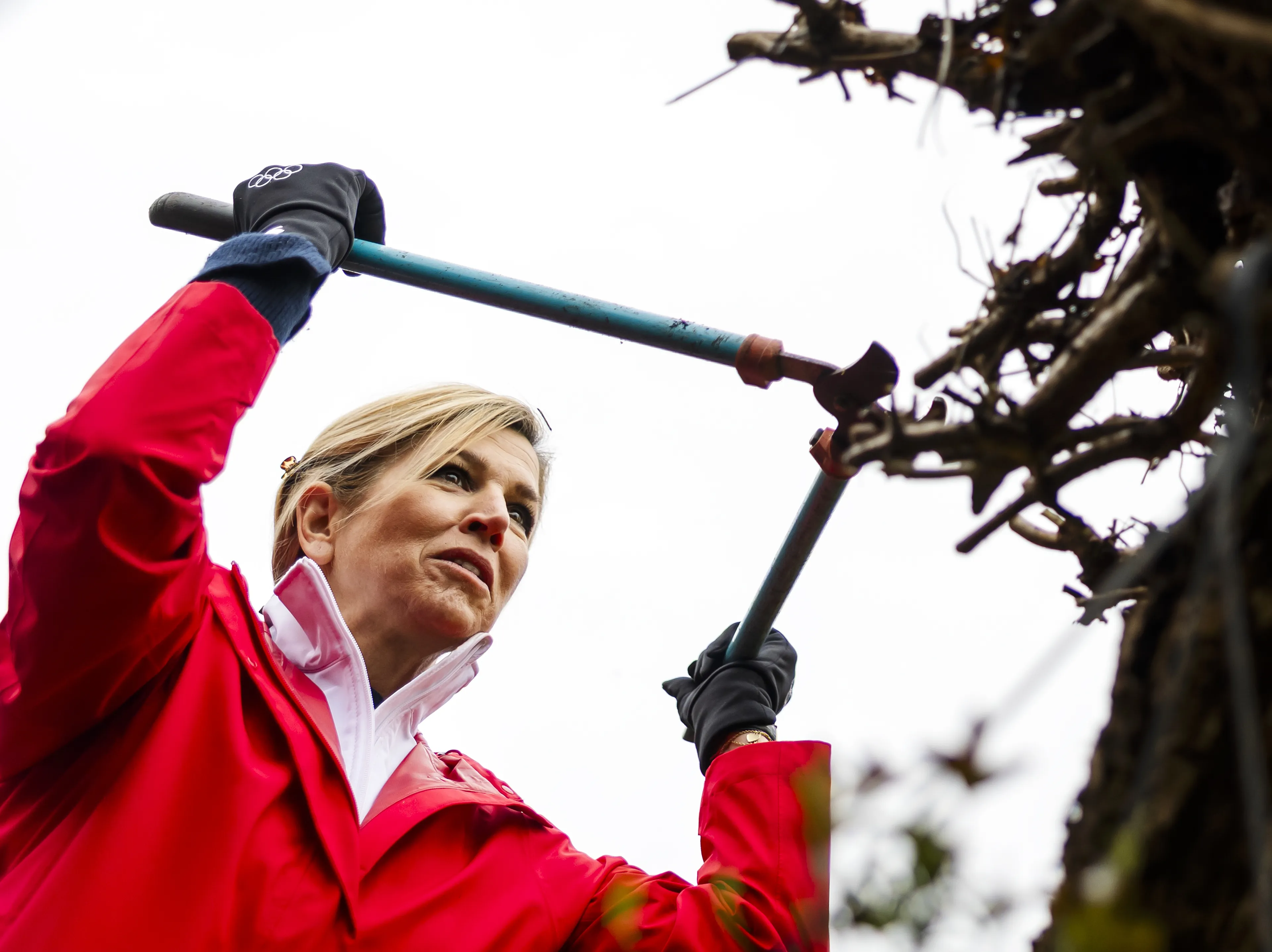 Koningin Máxima snoeit een van de bomen op de binnentuin.