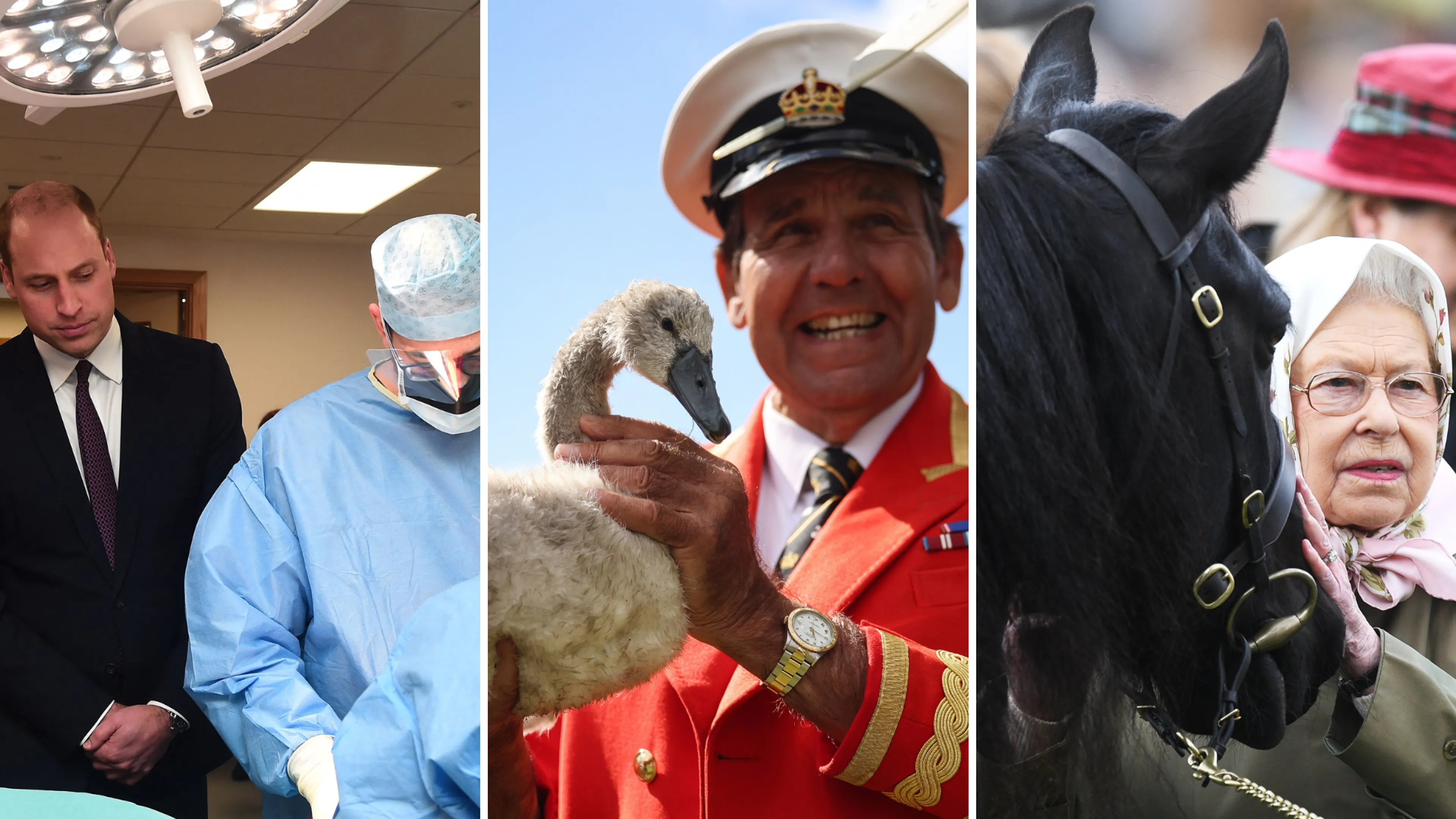 Van klokkenmaker tot paardenverzorger: dit zijn de opvallendste banen aan het Britse hof