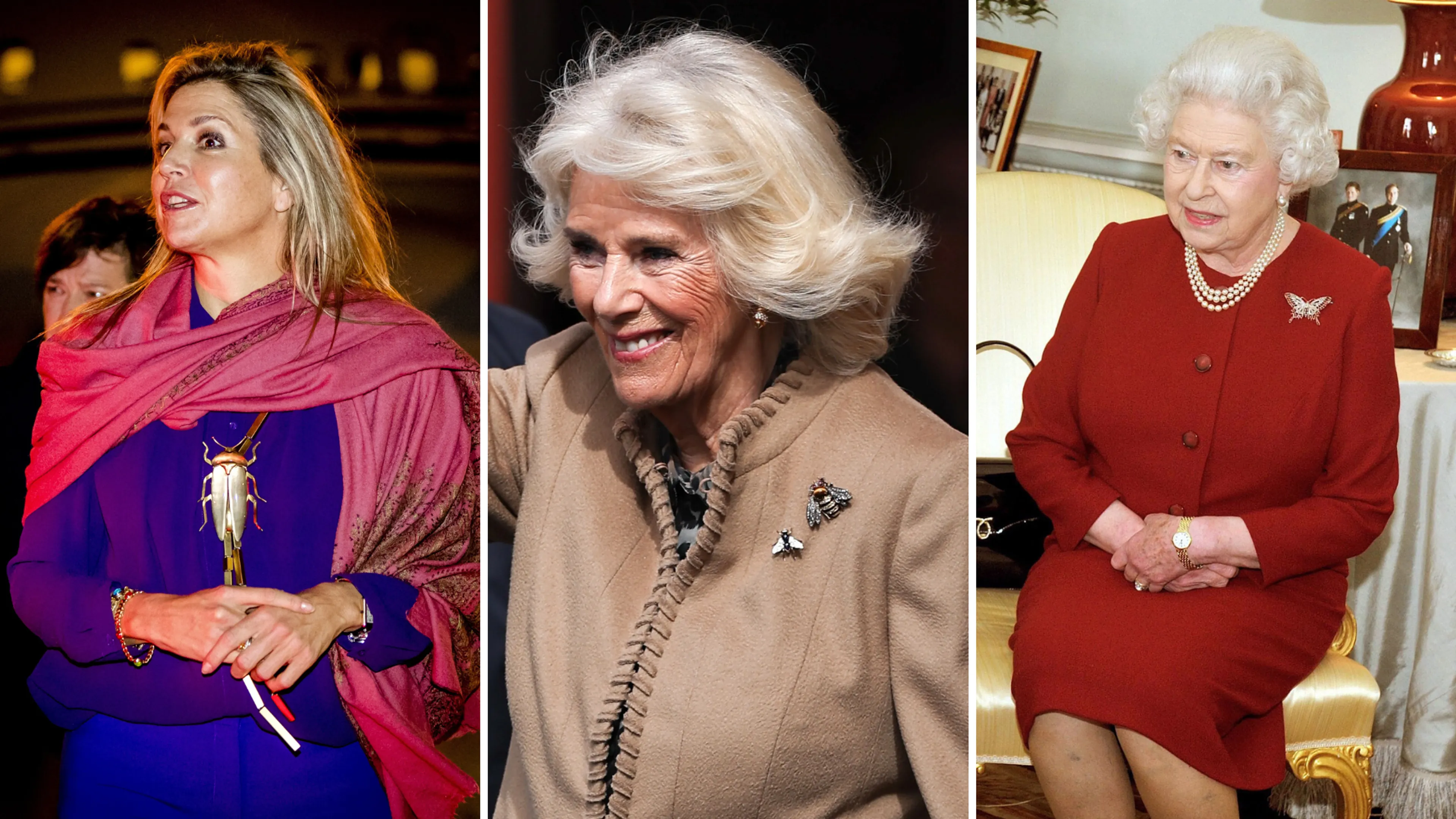 Van spinnen tot kevers: déze royals zijn dol op broches in de vorm van insecten