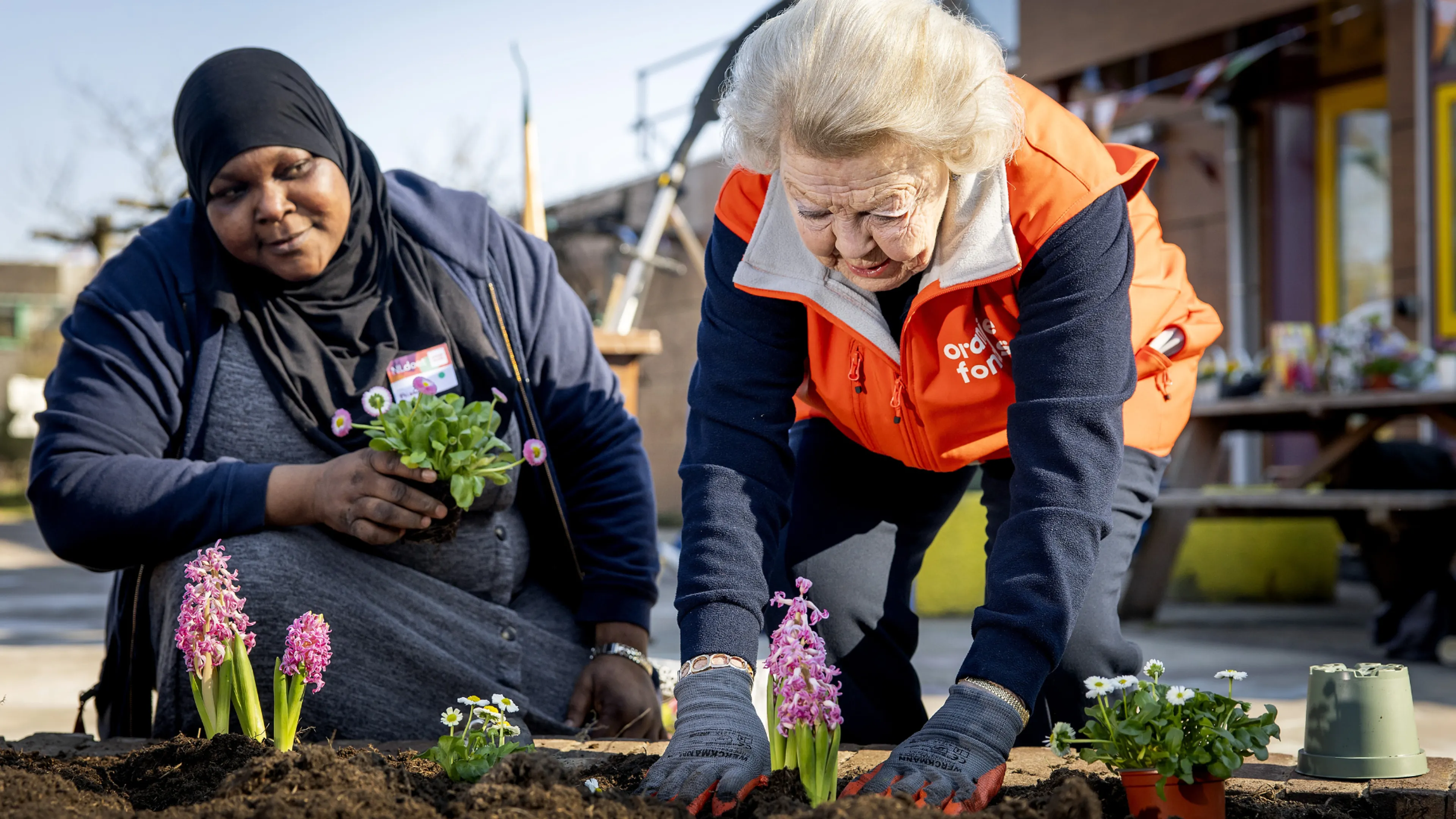 Uitgelichte afbeelding