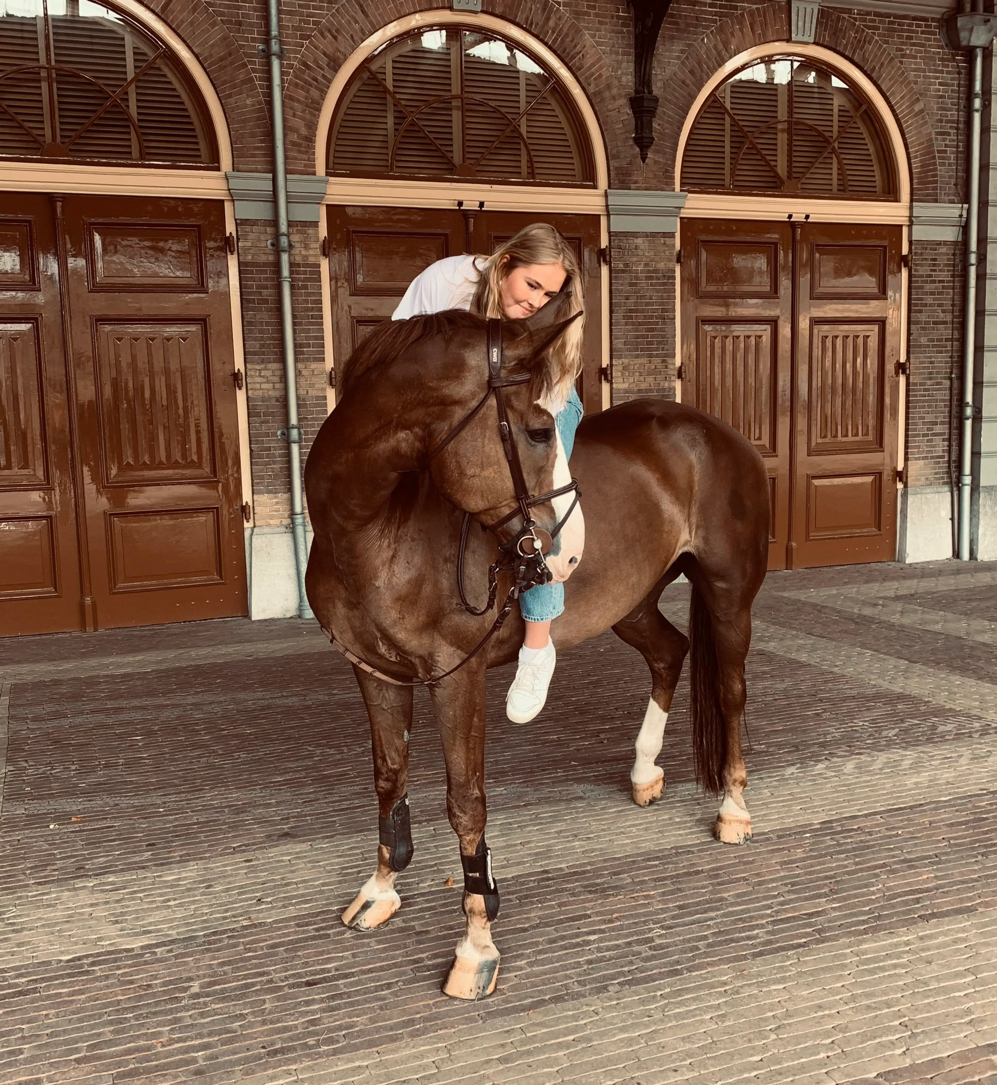 Mojito krijgt een knuffel van de prinses.