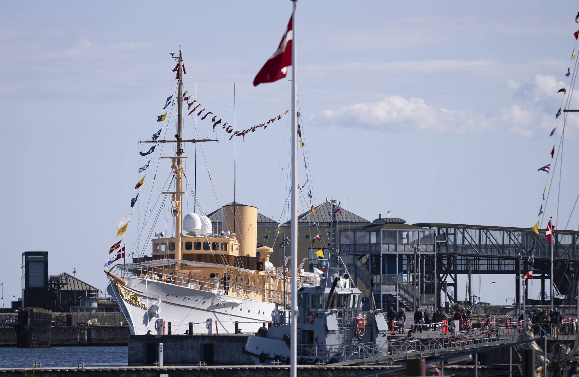 ANP-526567148