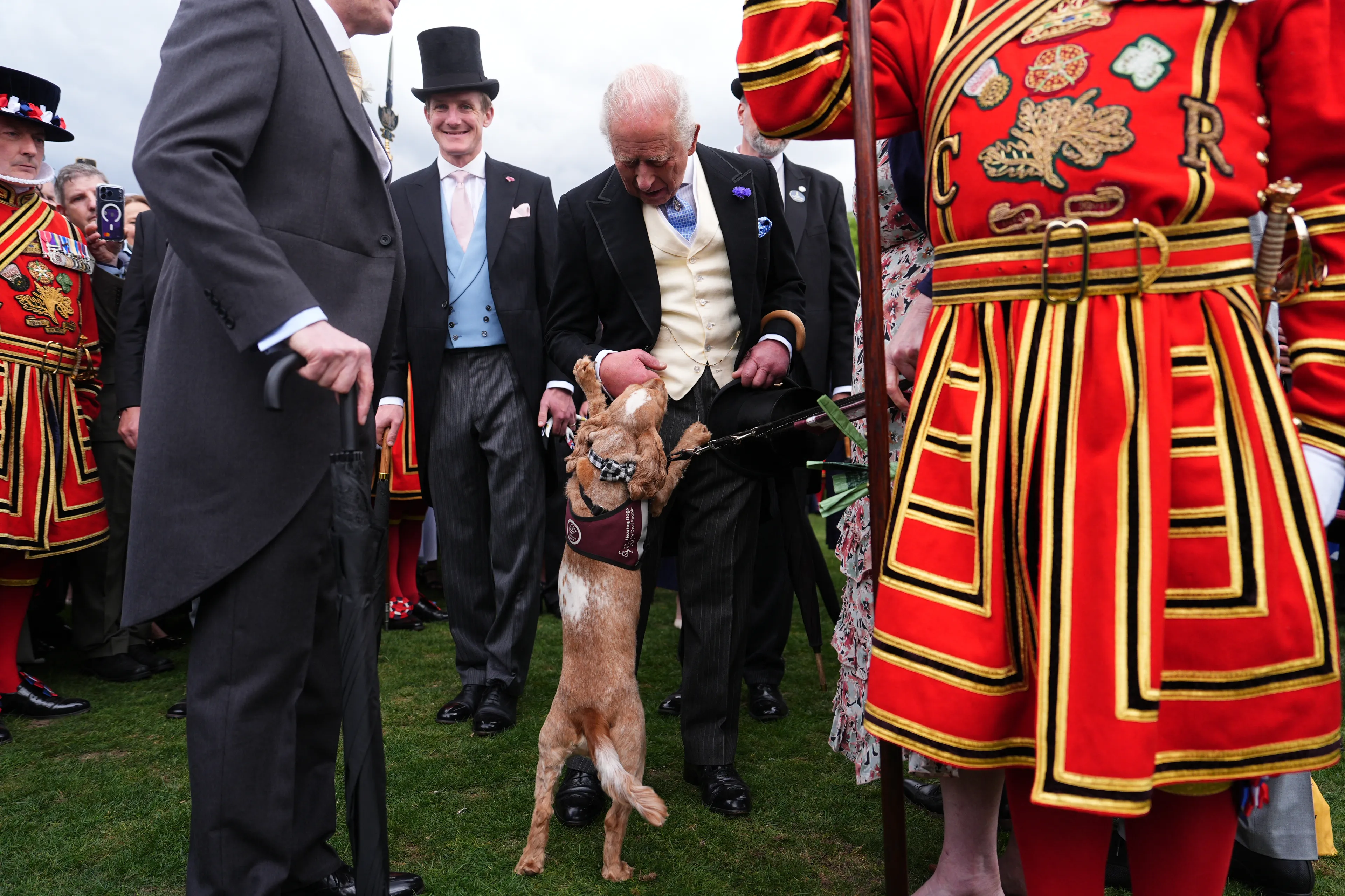 Ook koning Charles wordt enthousiast begroet door koning Charles.