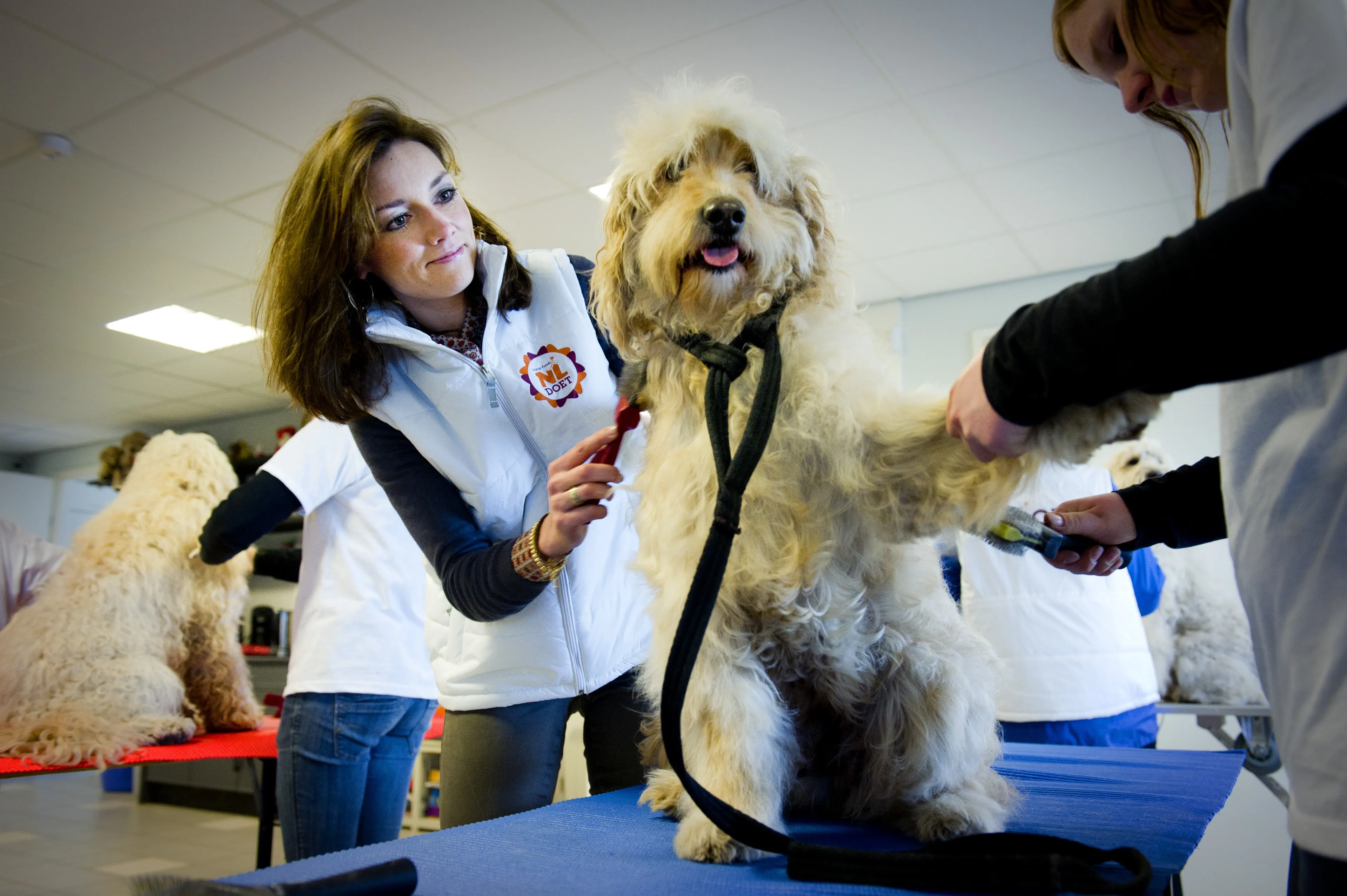 Prinses Aimée in een hondentrainingscentrum in Molenschot (2012).