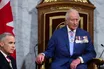 Afbeelding van Koning Charles