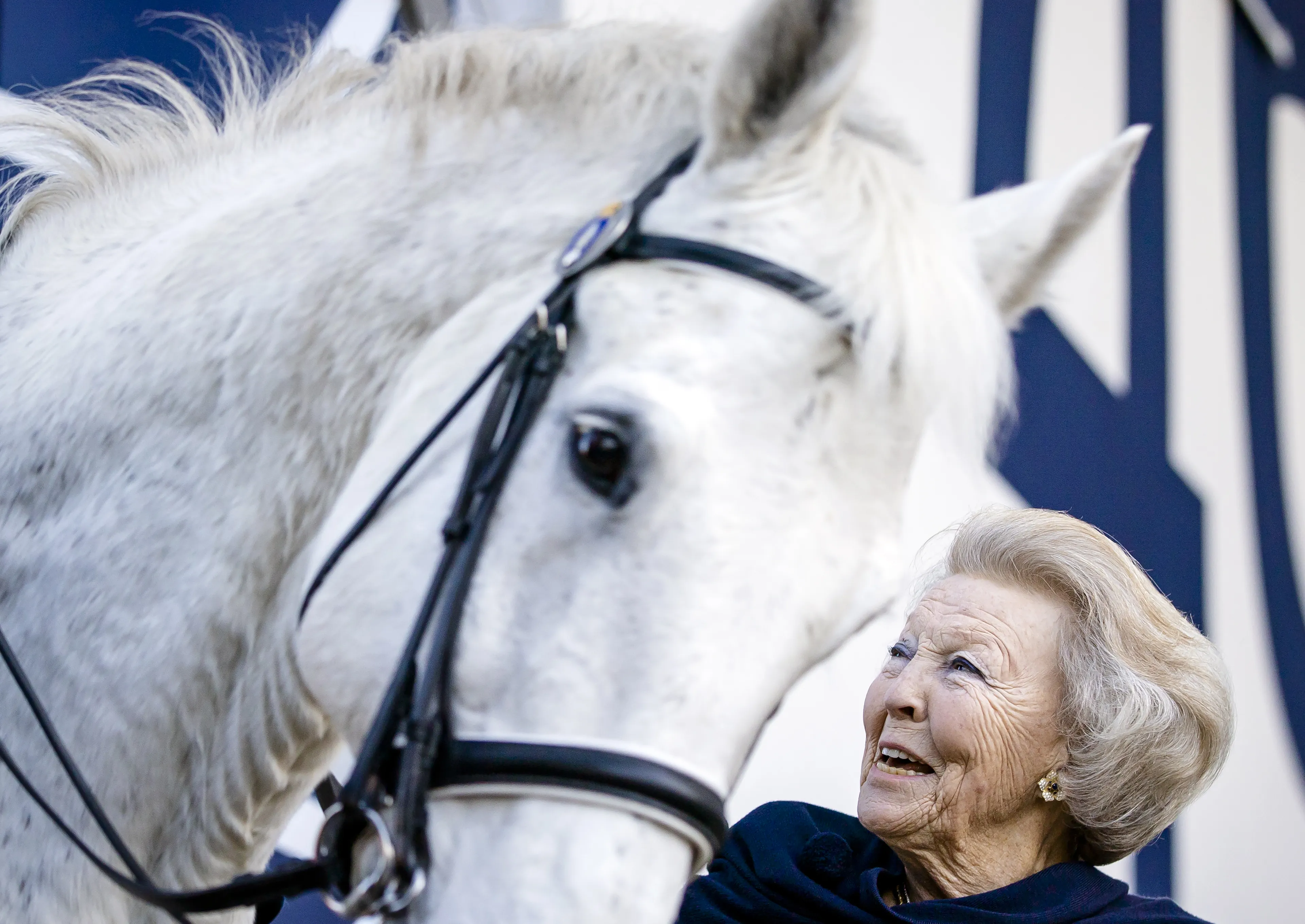 Al generaties een onafscheidelijk duo: de Oranjes en paarden