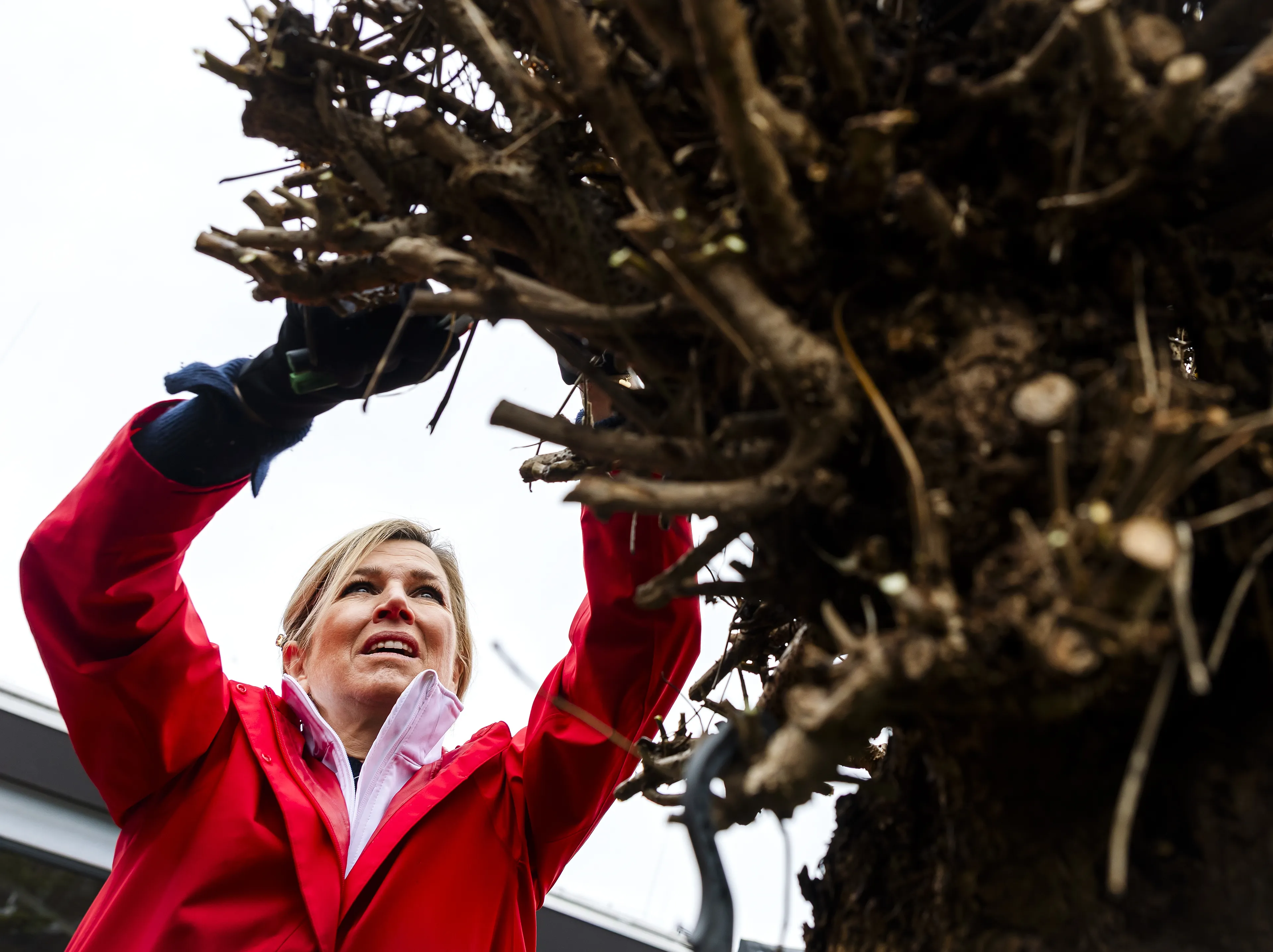 De koningin heeft zich goed ingepakt tegen de regen.