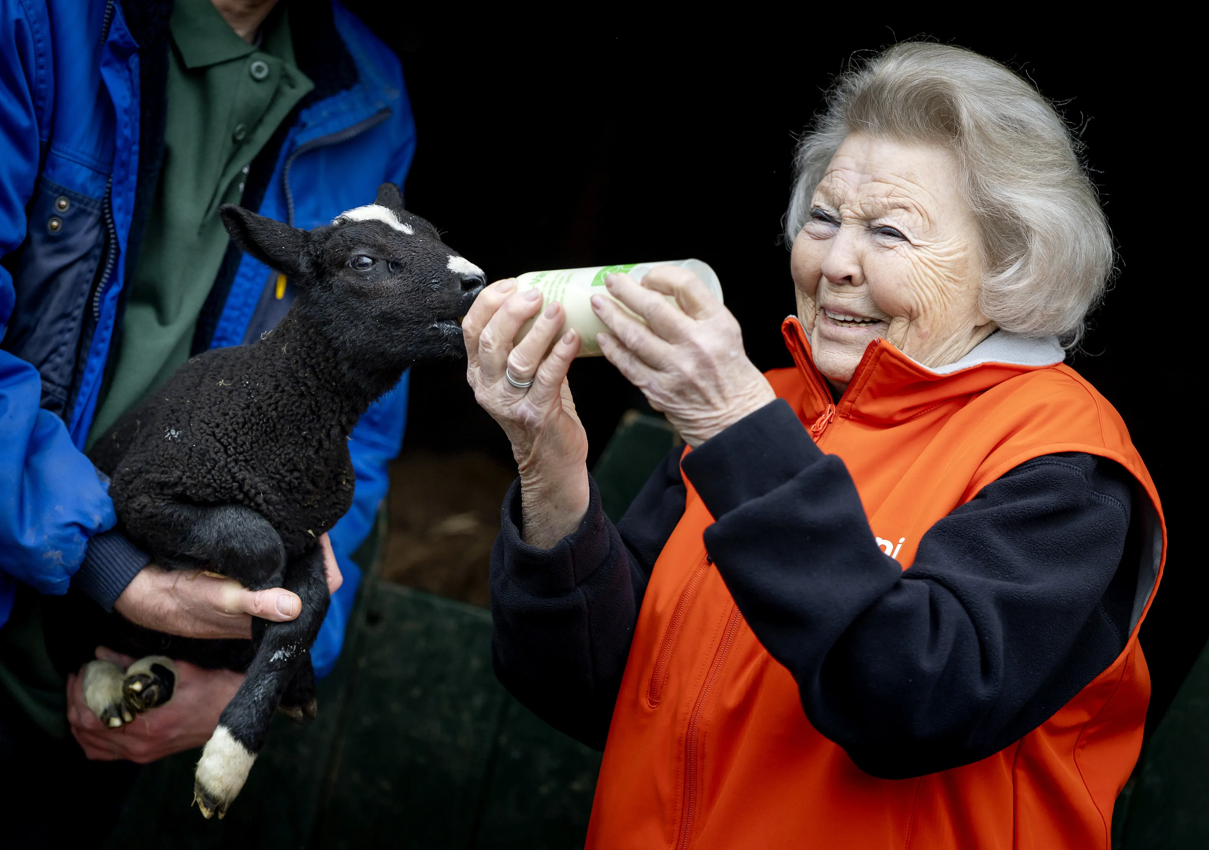 Lief! Prinses Beatrix geeft lammetjes de fles op kinderboerderij