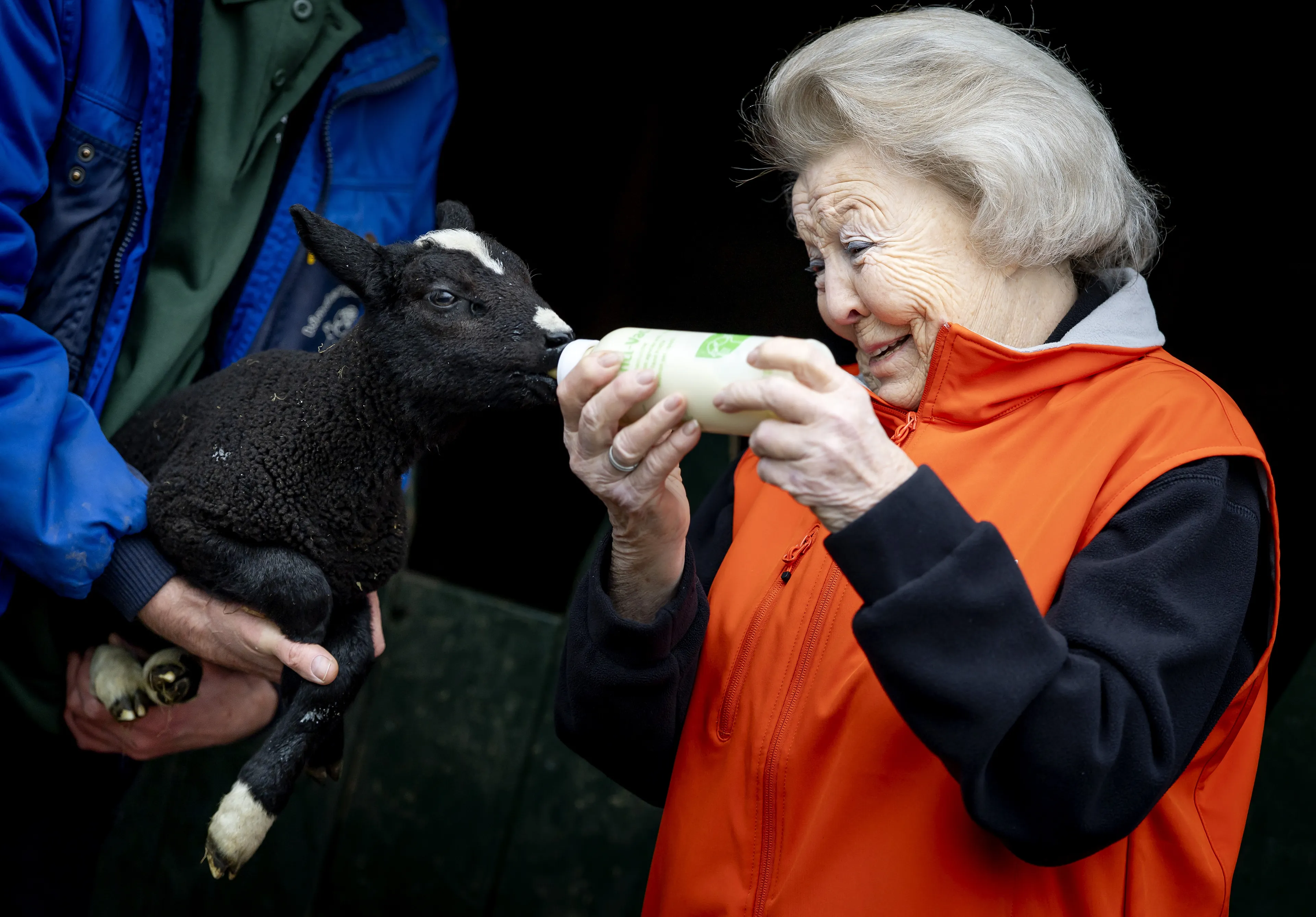 Prinses Beatrix geeft een lammetje de fles.