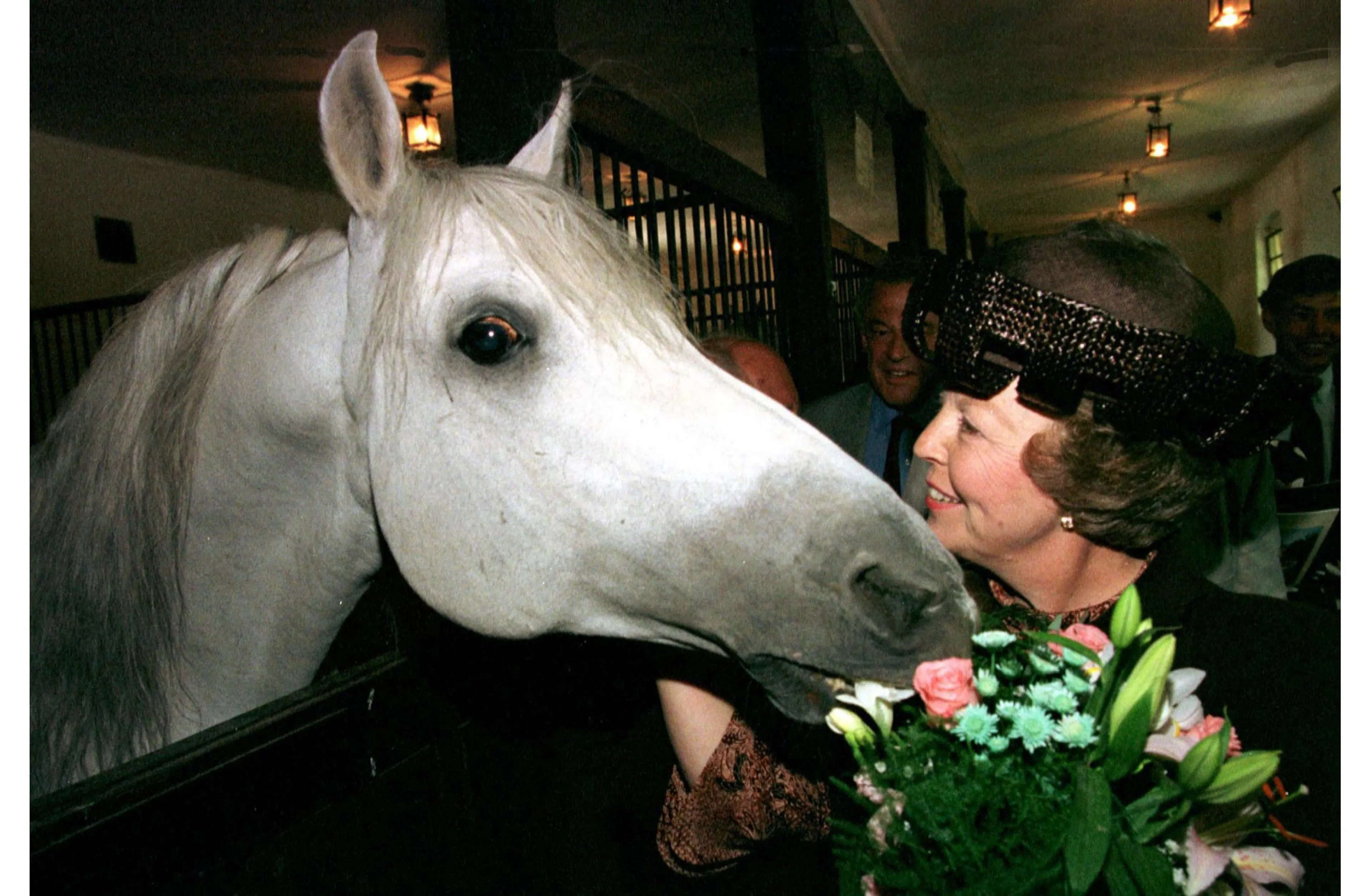 In Hongarije neemt een paard een hap van het boeket van de koningin.
