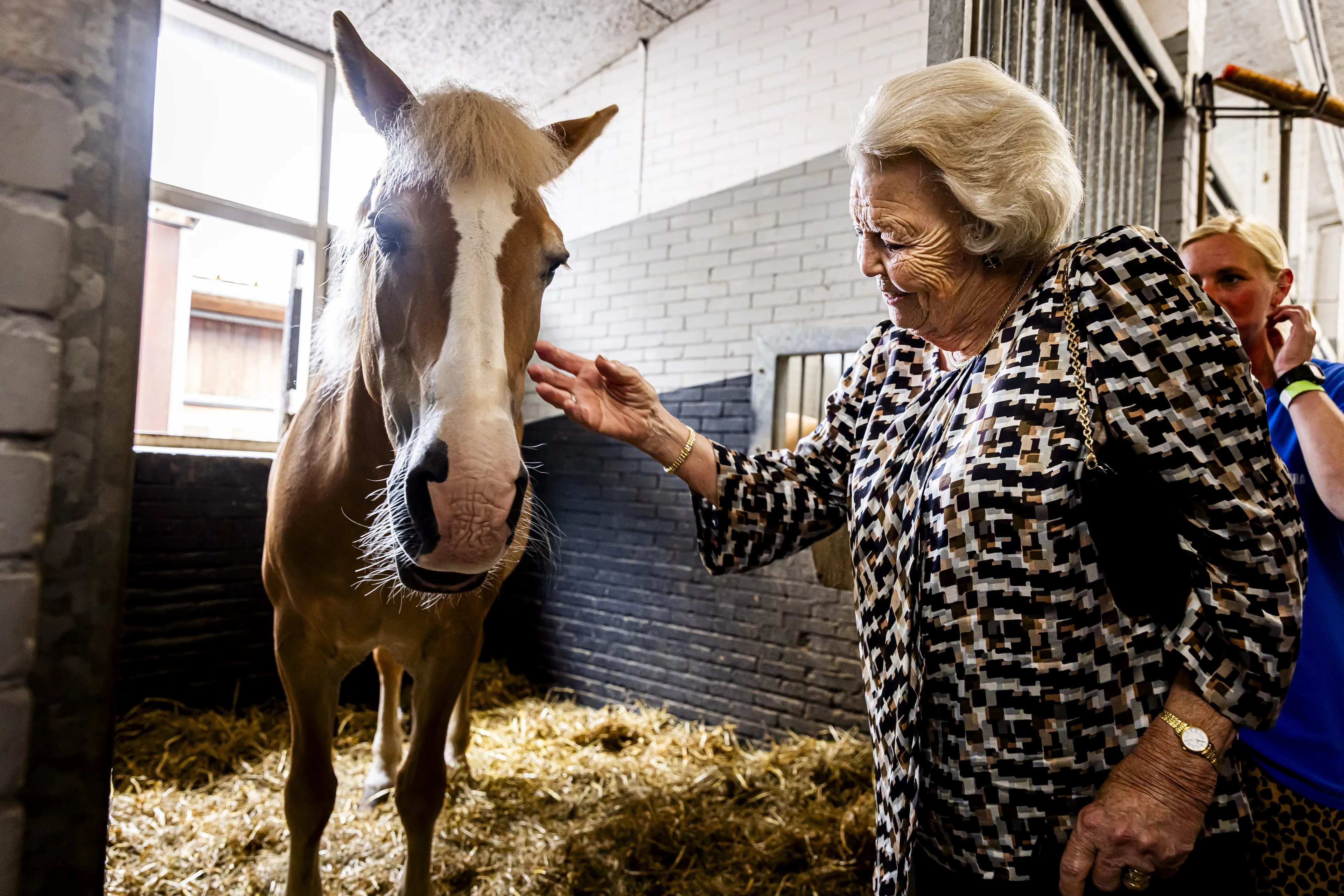 Alle paarden die Beatrix tegenkomt kunnen rekenen op een aai over hun bol.