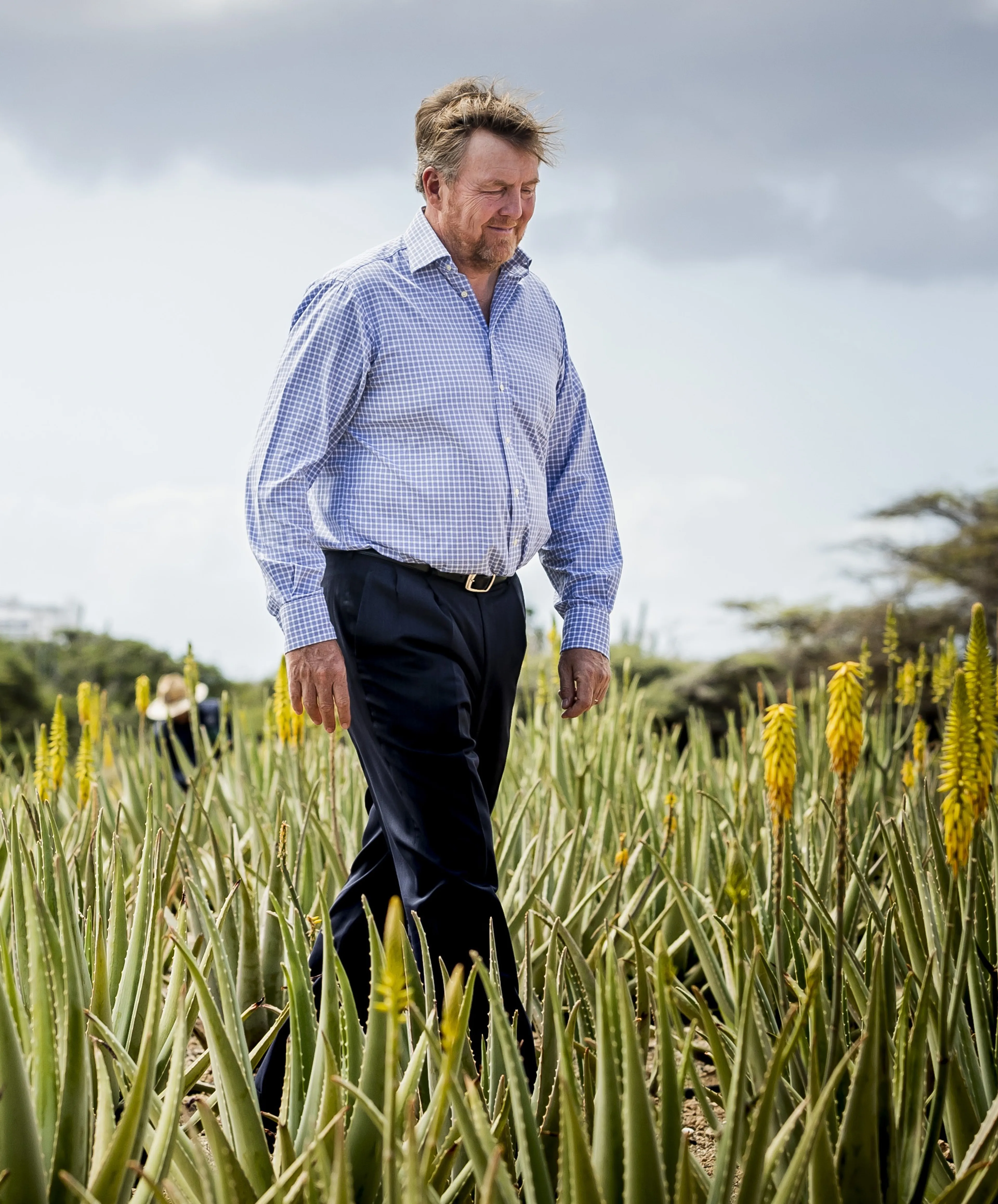 Koning Willem-Alexander tijdens een bezoek aan Royal Aruba Aloe.