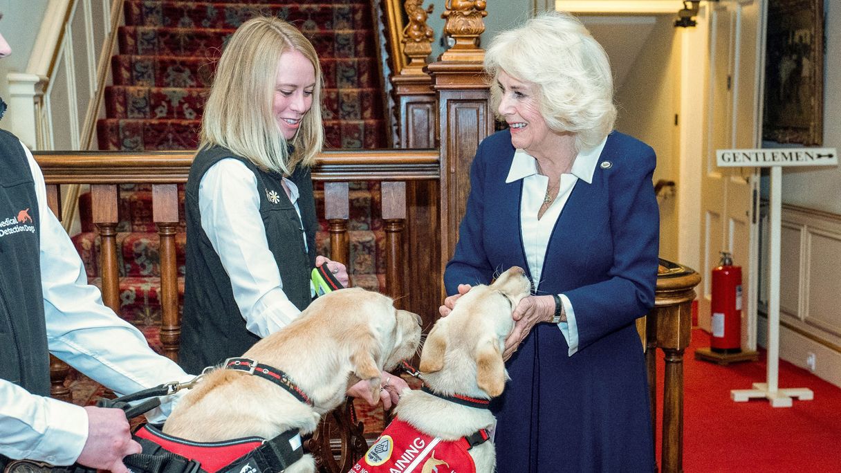 Koningin Camilla geeft pup een héle bijzondere naam