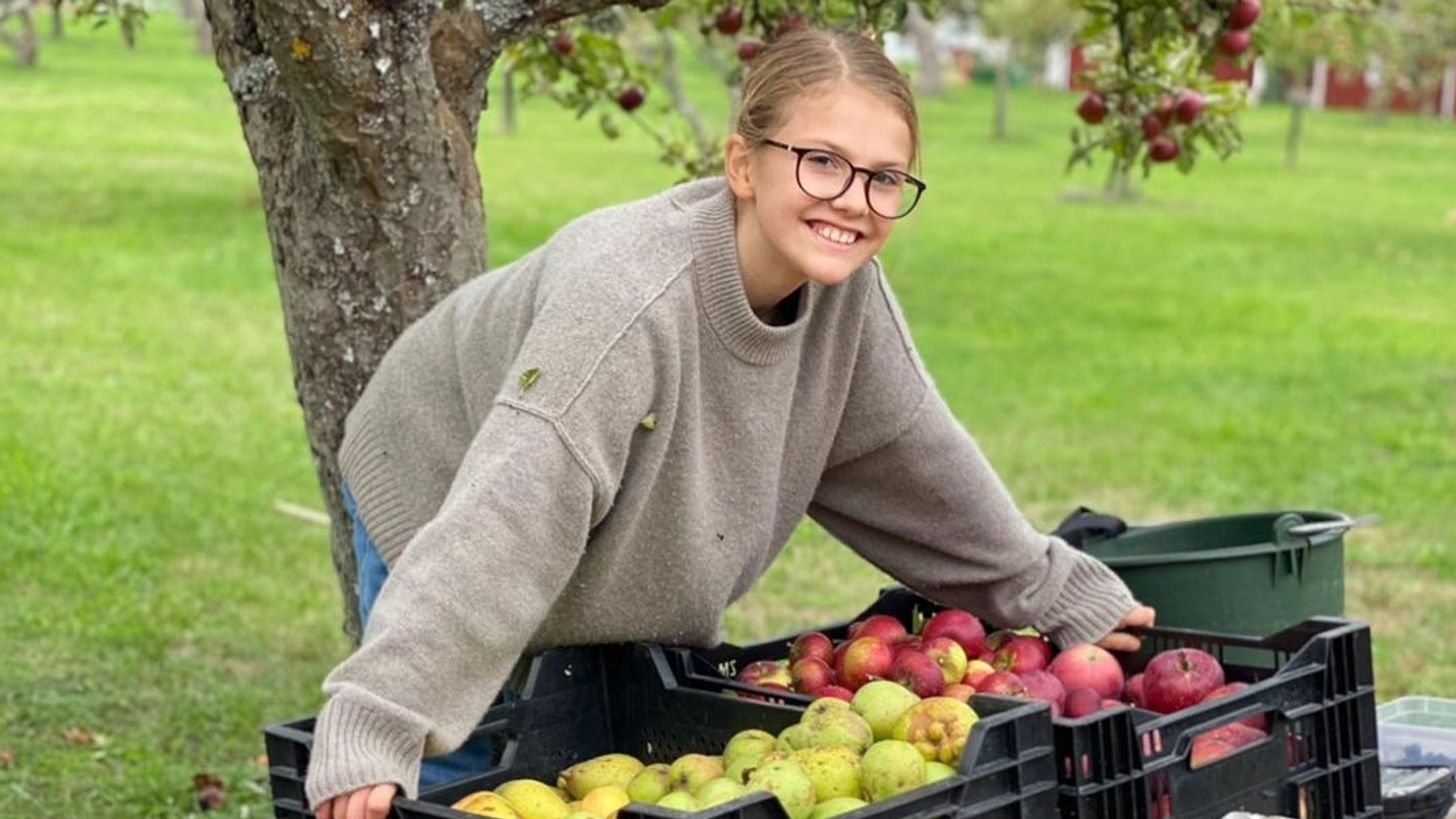 Plukken maar! Estelle en Oscar oogsten fruit op Zweeds eiland