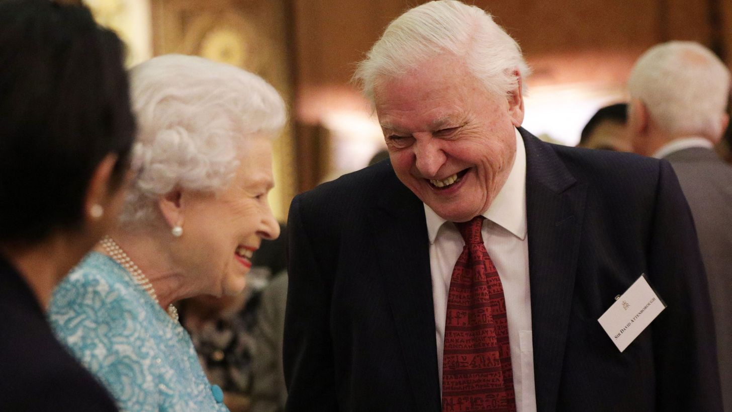 David Attenborough opent bos ter ere van koningin Elizabeth