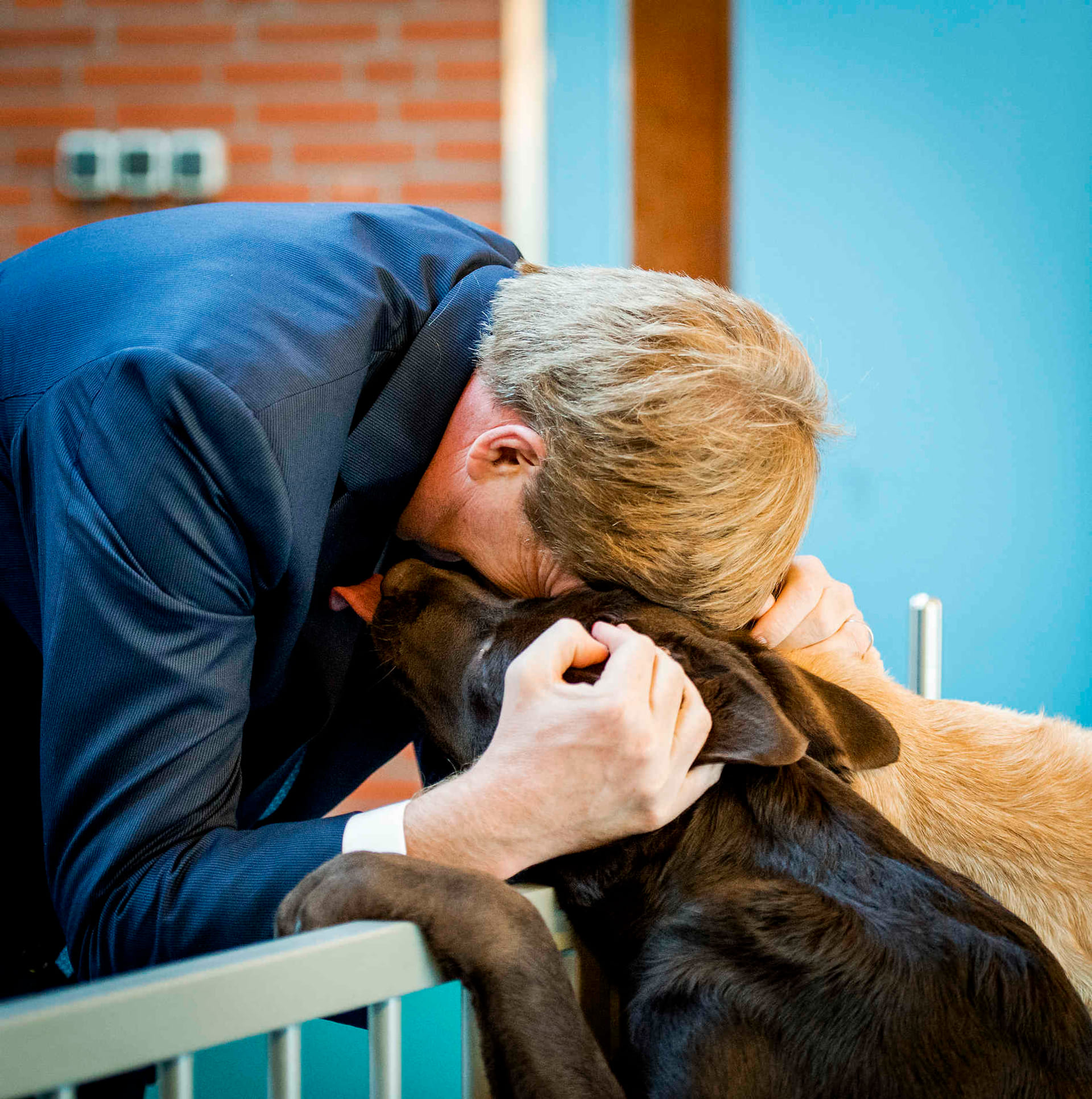Willem-Alexander-KNGF.jpg