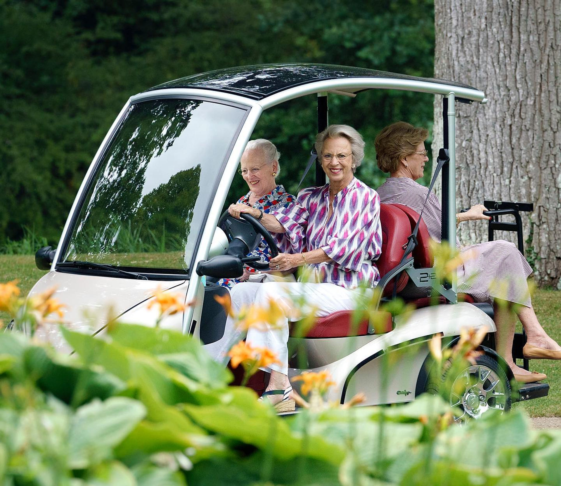 Deense Koninklijke familie Denemarken 4