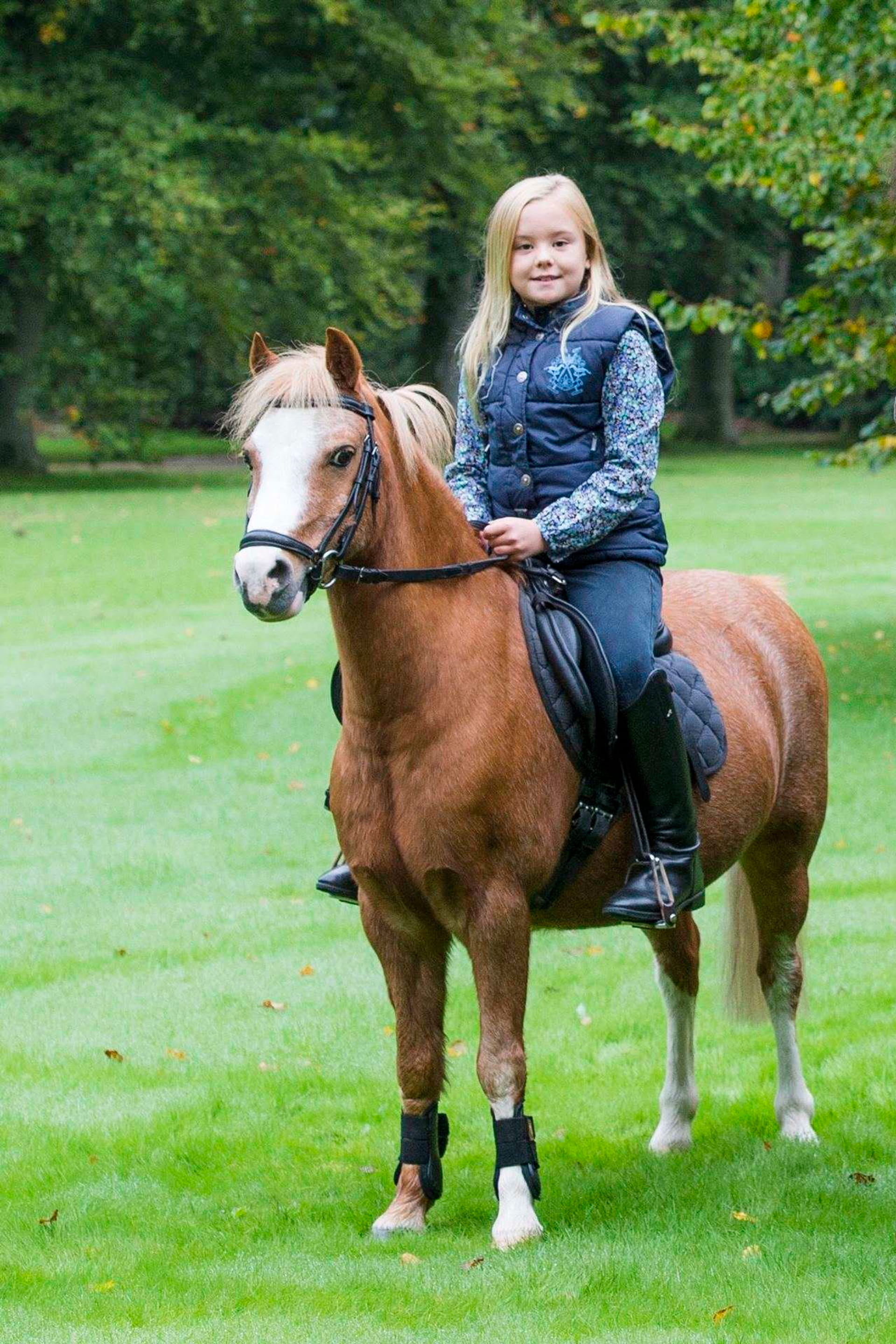 Ariane-paard.jpg