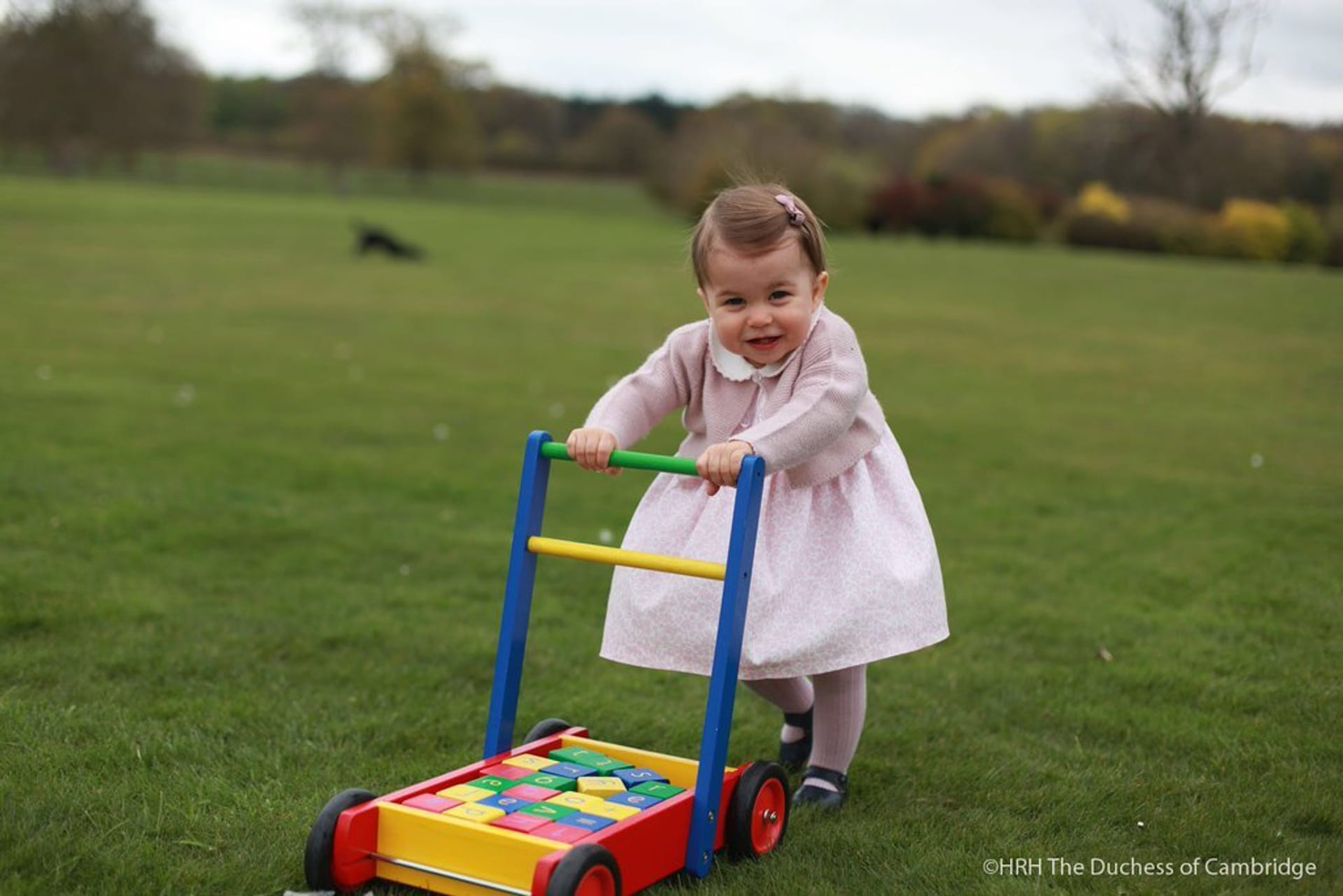 Prinses-Charlotte-tuin.jpg