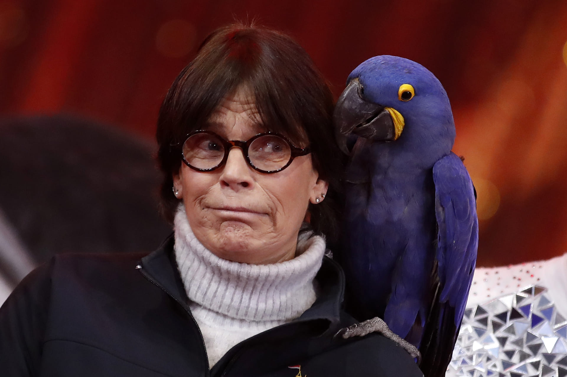 Stéphanie papegaai 2023