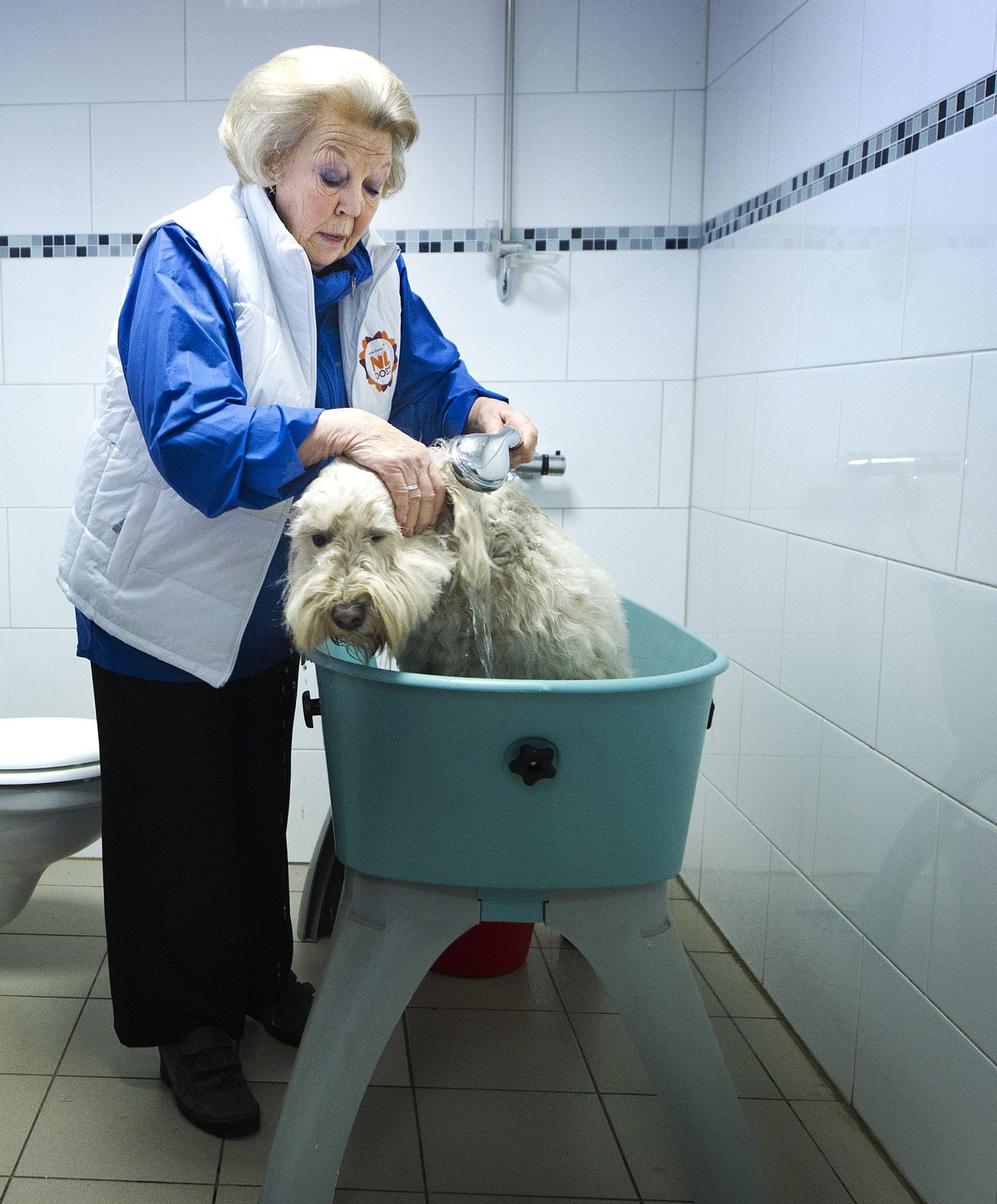 Beatrix_nldoet_wassen_hond.jpg