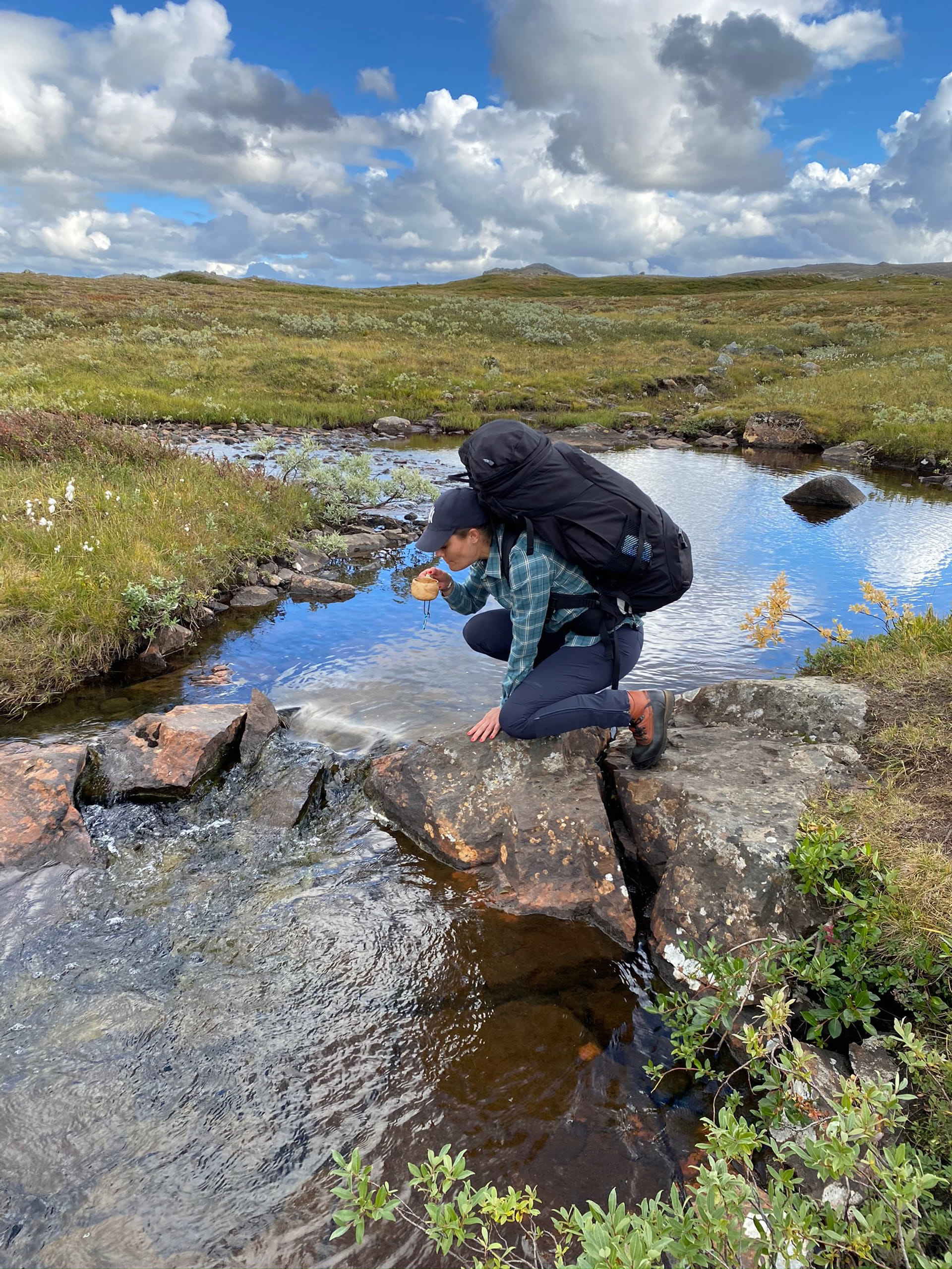 202009_KRPP_Ja__mtlandstriangeln_3_Foto_Kungl.Hovstaterna.jpg