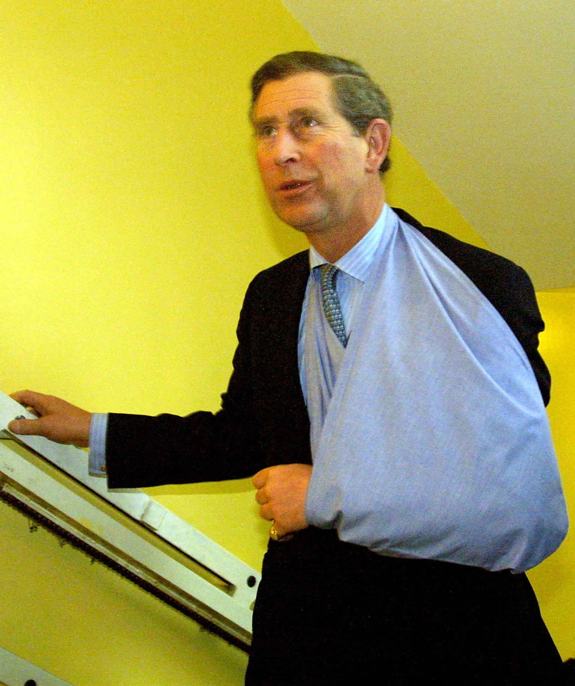 Prins Charles 2001