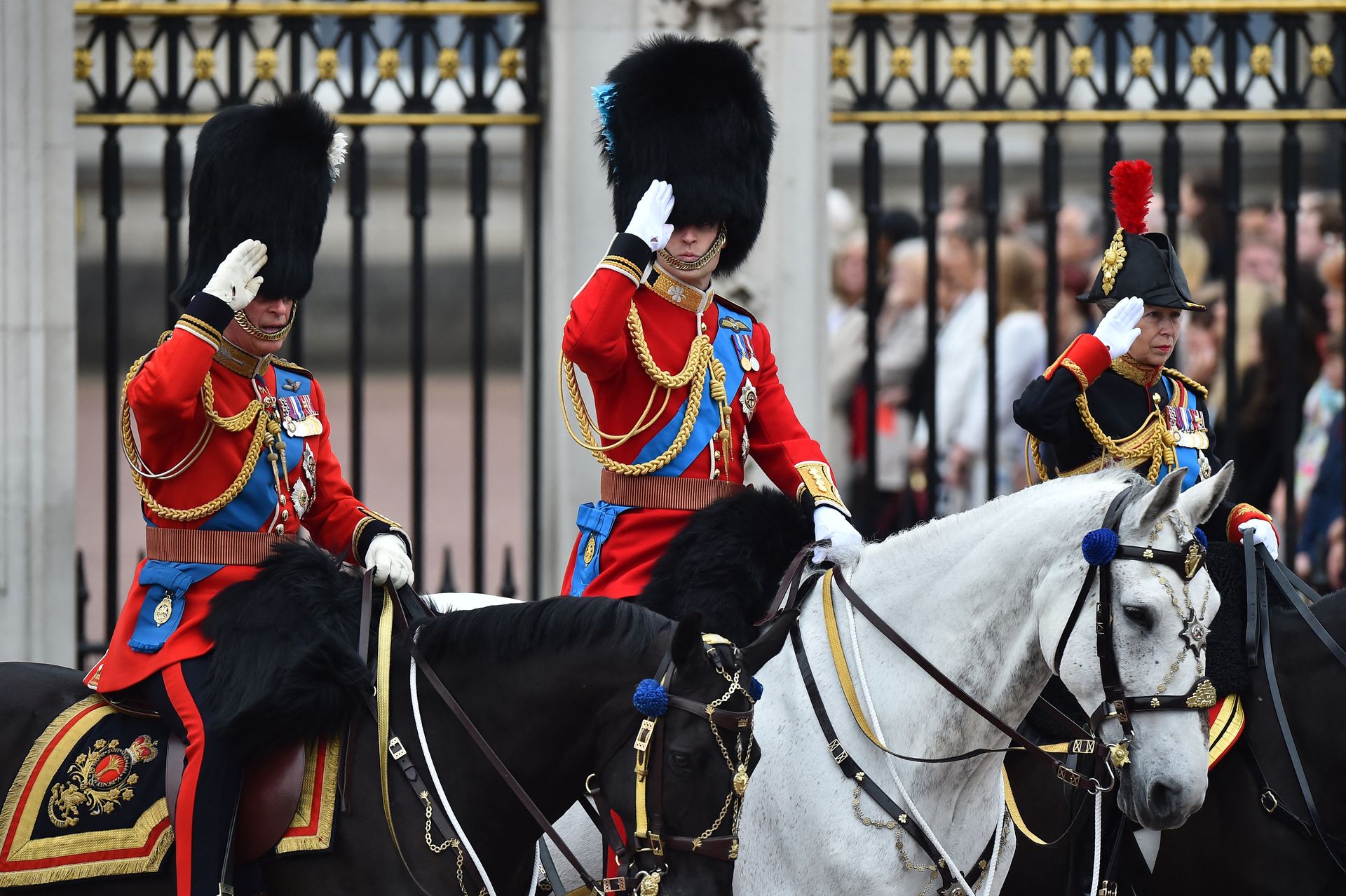 Charles, William en Anne trooping the colour