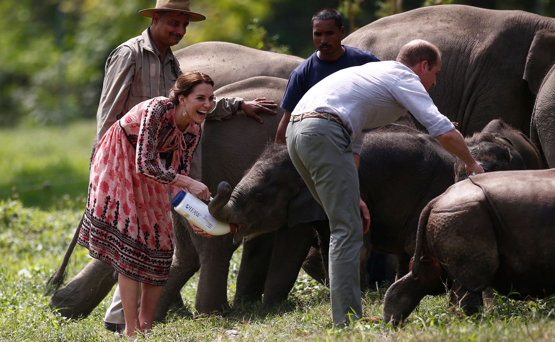 Tijdens een bezoek aan India voeden Catherine en William de kleine olifantjes bij. Zij bezochten dit