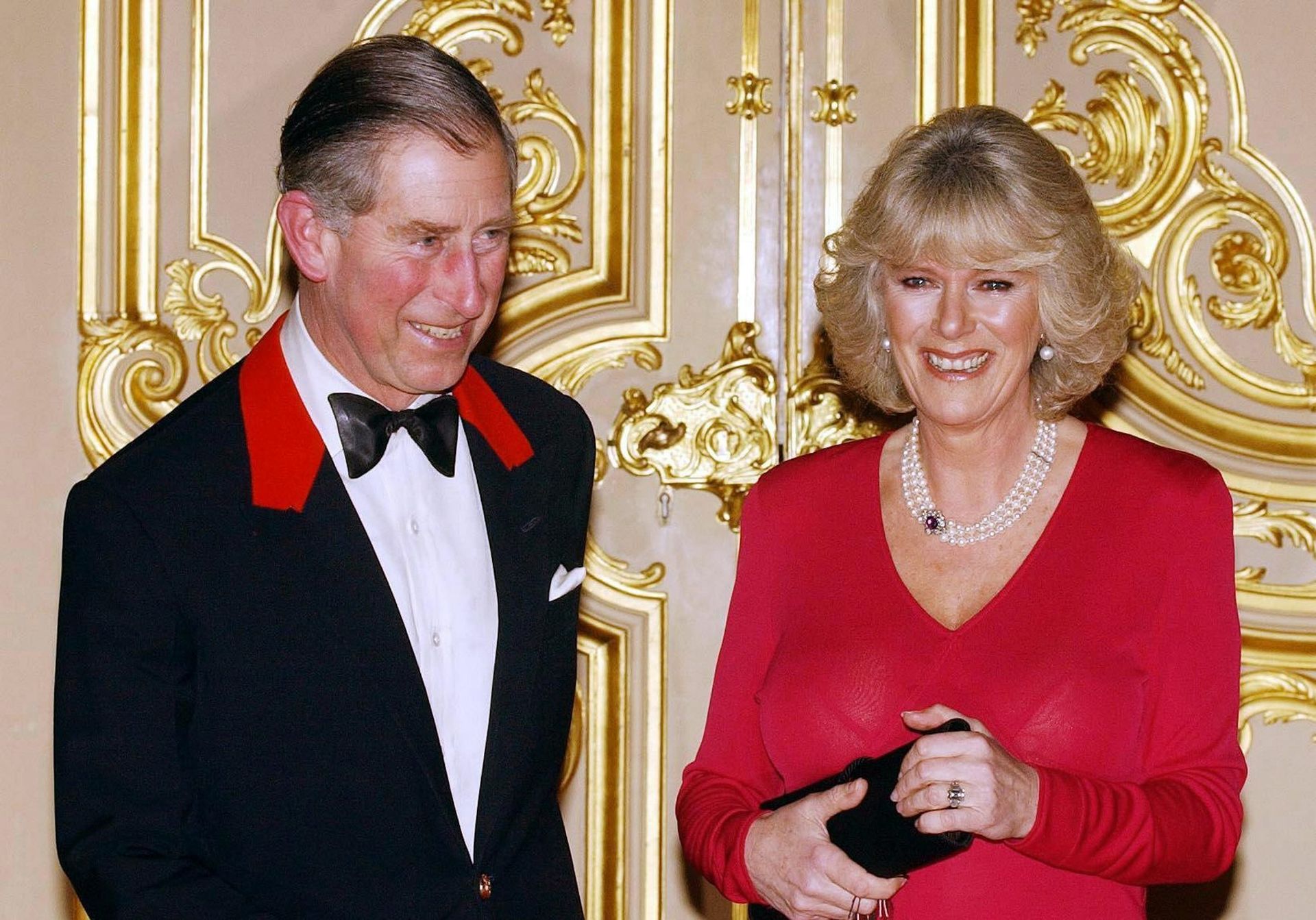 Charles en Camilla kondigen in februari 2005 in Windsor Castle hun bruiloft aan dat in hetzelfde