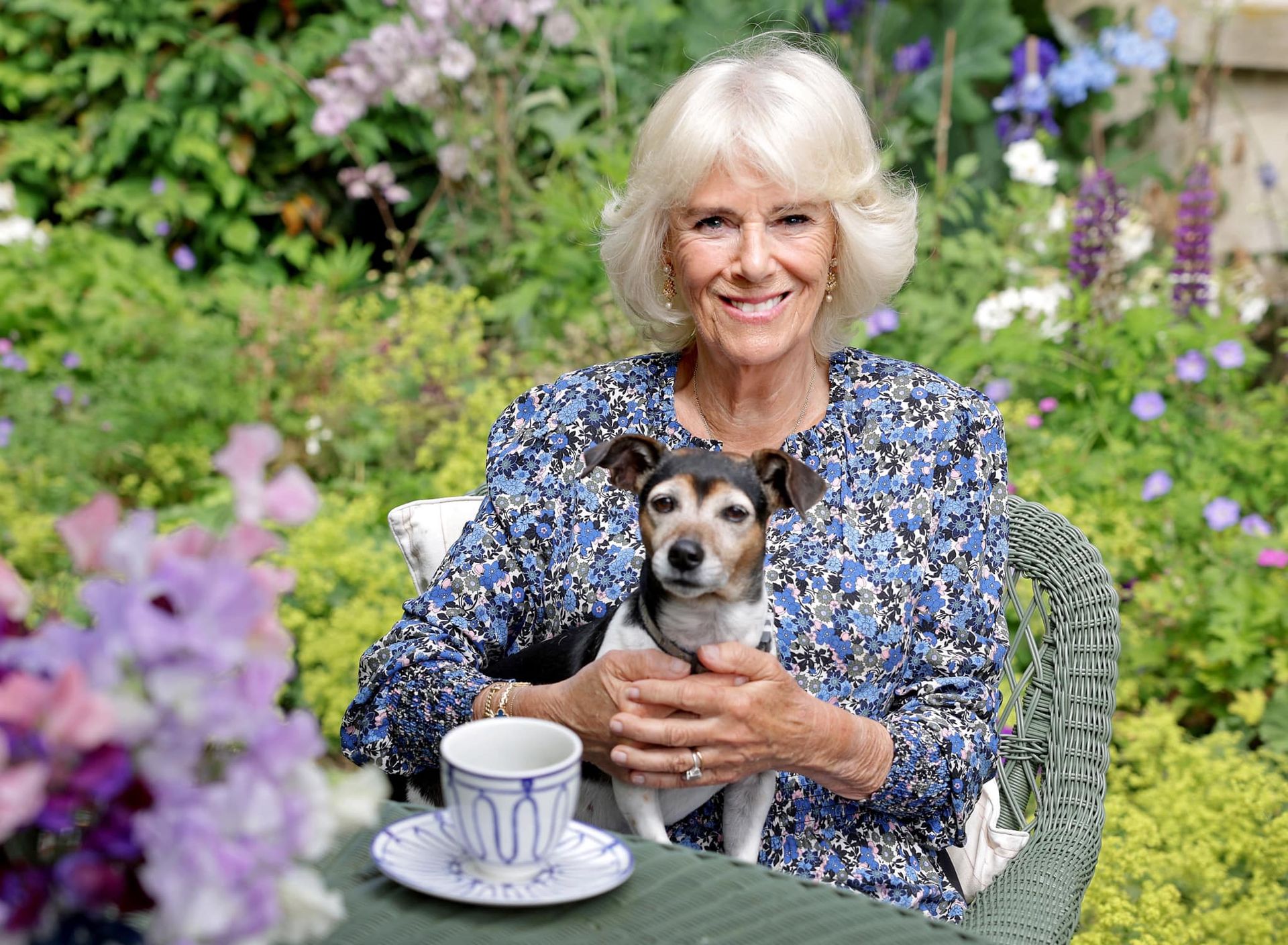 Camilla 75 jaar Chris Jackosn credits hond thee