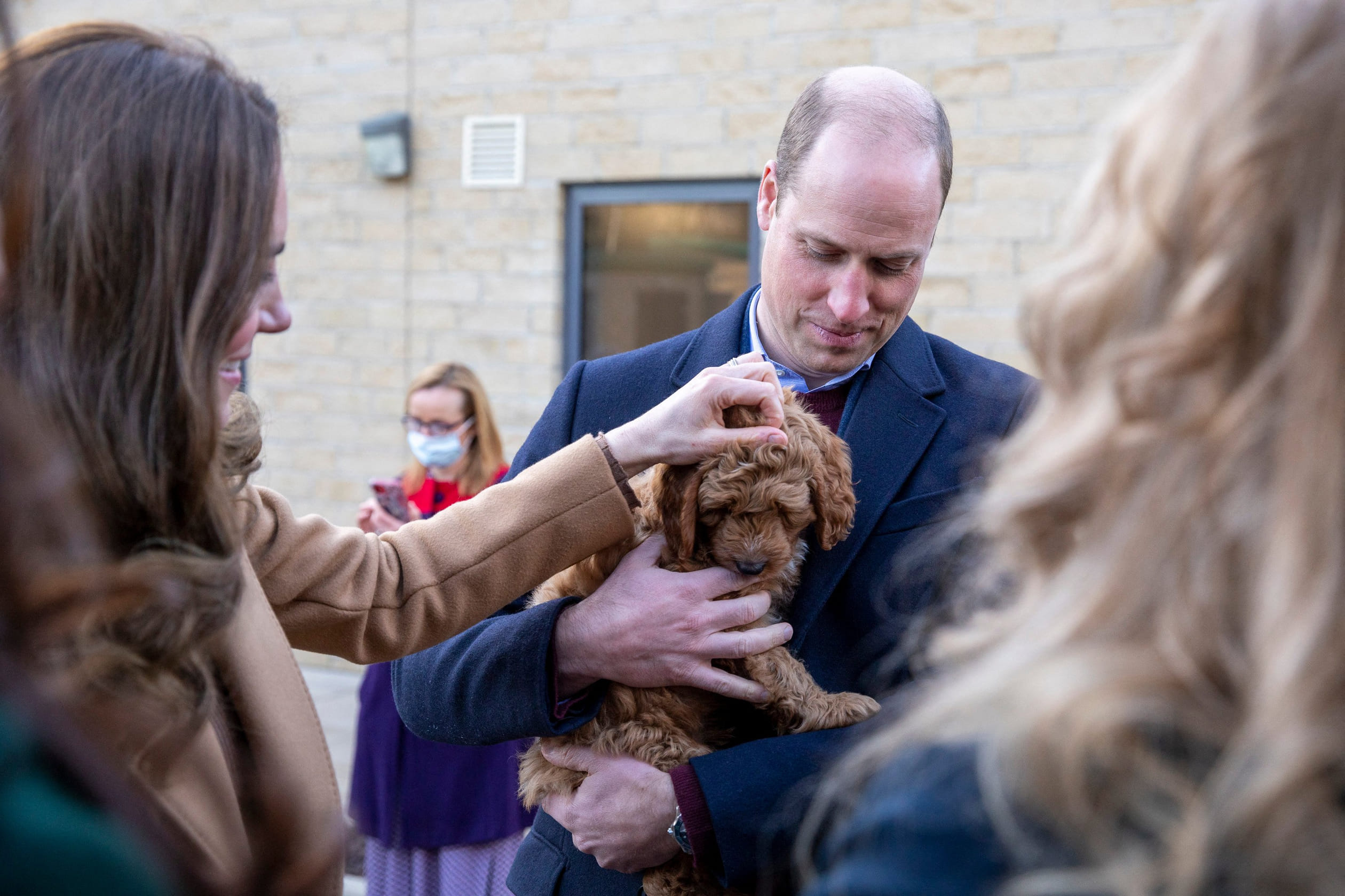 William_met_puppy_Alfie.jpg