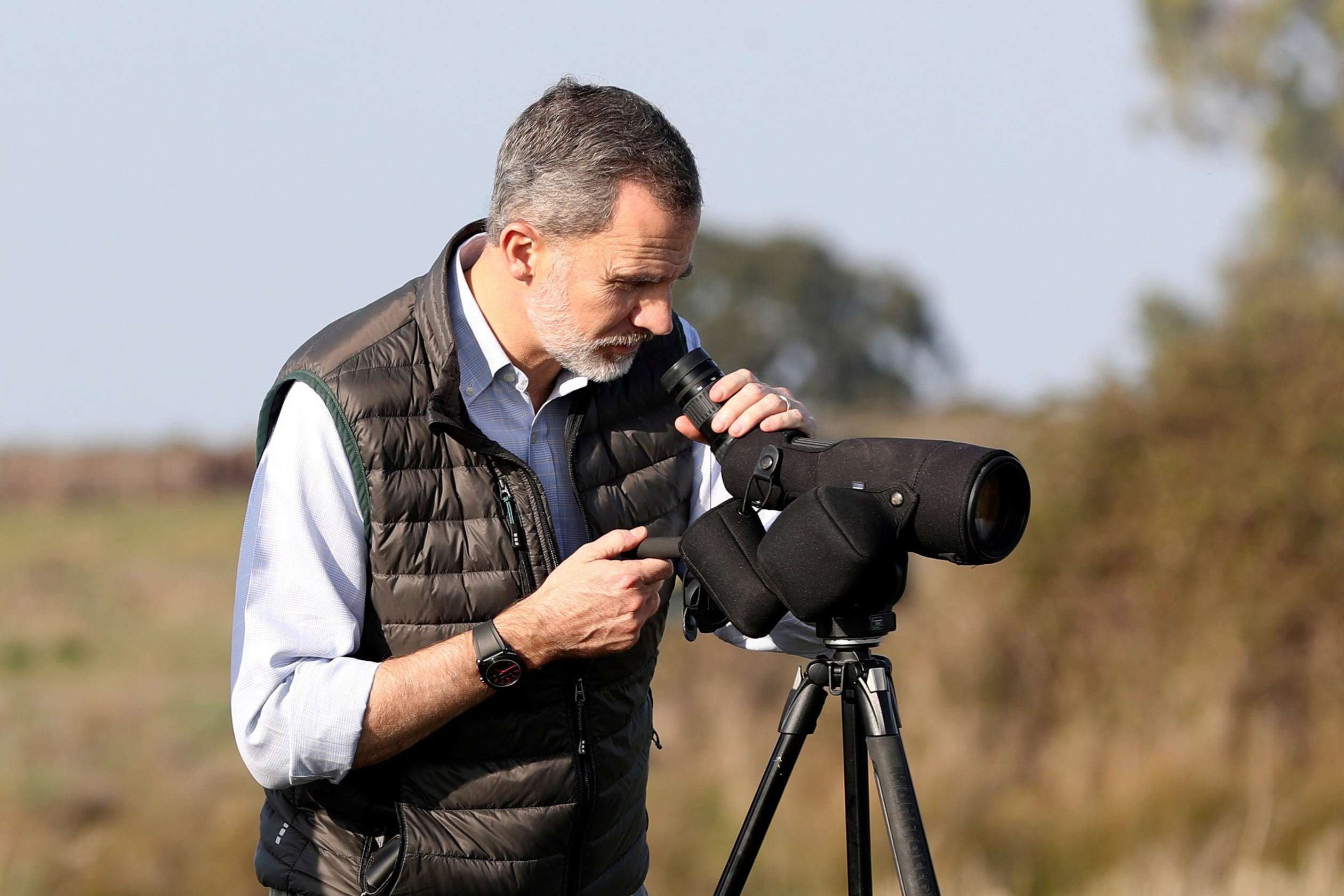 Koning_Felipe_spot_vogels.jpg