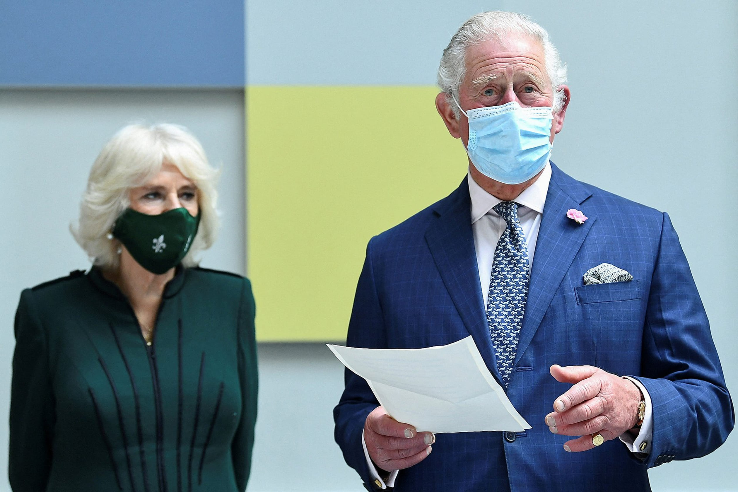 Charles_Camilla_ierland3.jpg