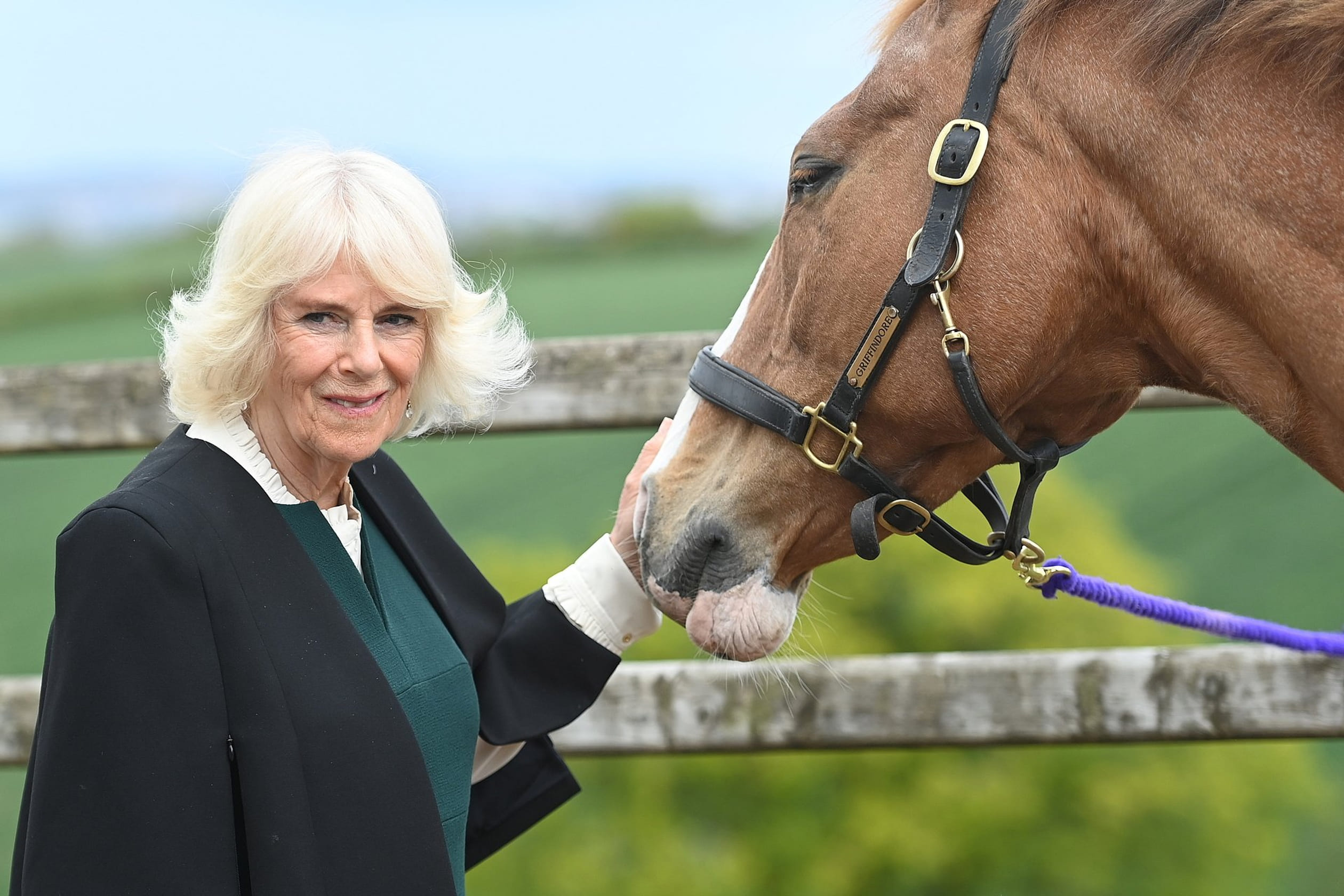 Charles_Camilla_ierland4.jpg