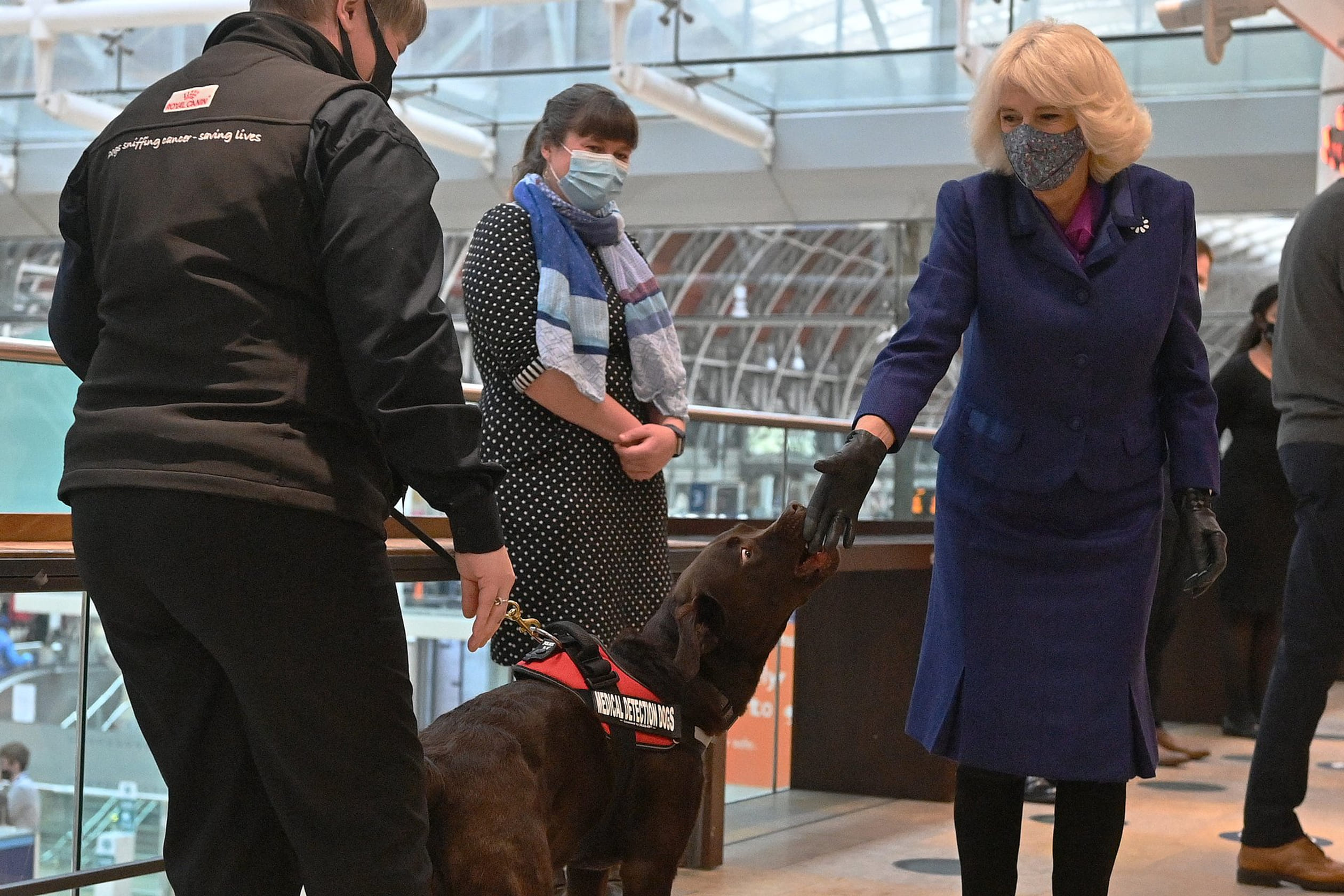 Camilla_detectiehonden_3.jpg