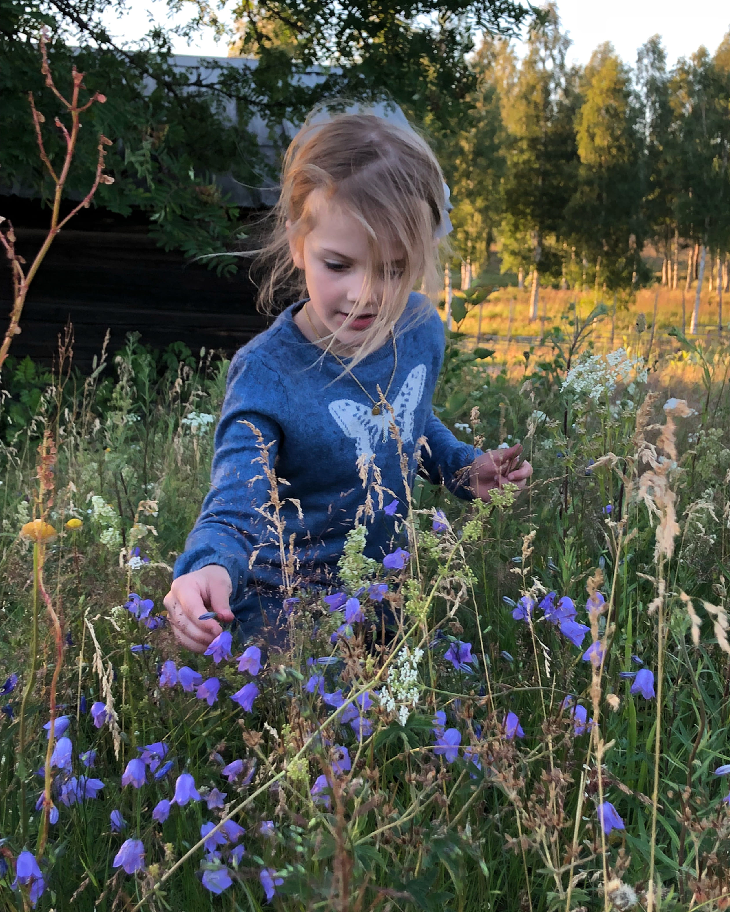 Estelle in Hälsingland.