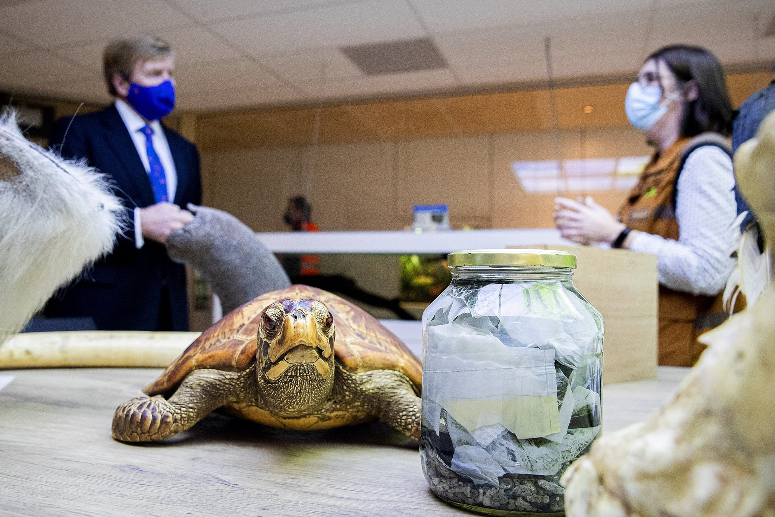Koning_in_gesprek_bezoek_Blijdorp.jpg