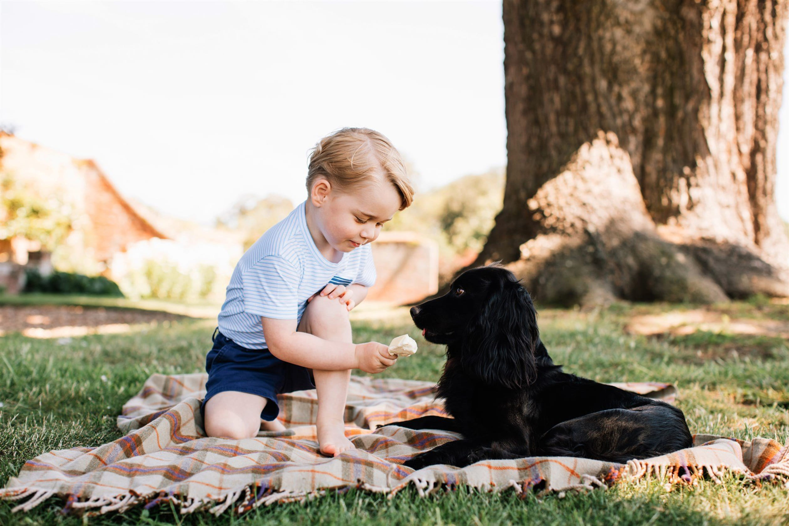 George_en_hond.jpg