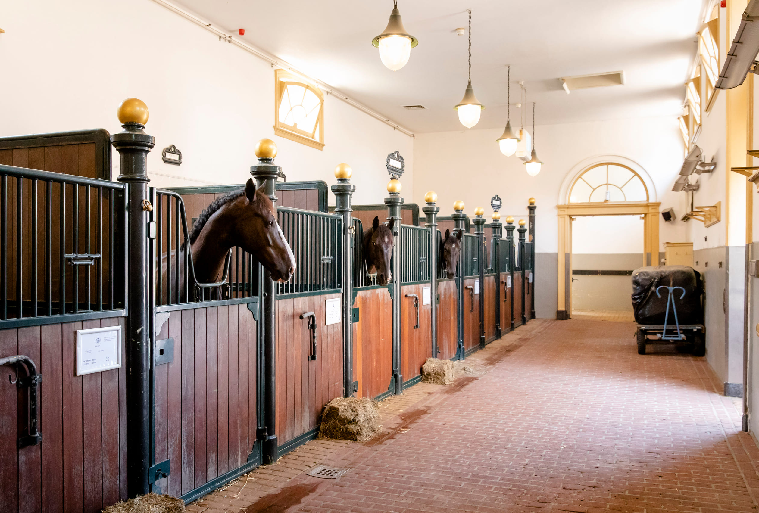 De Koninklijke Stallen. Hier hebben de paarden hun plek.