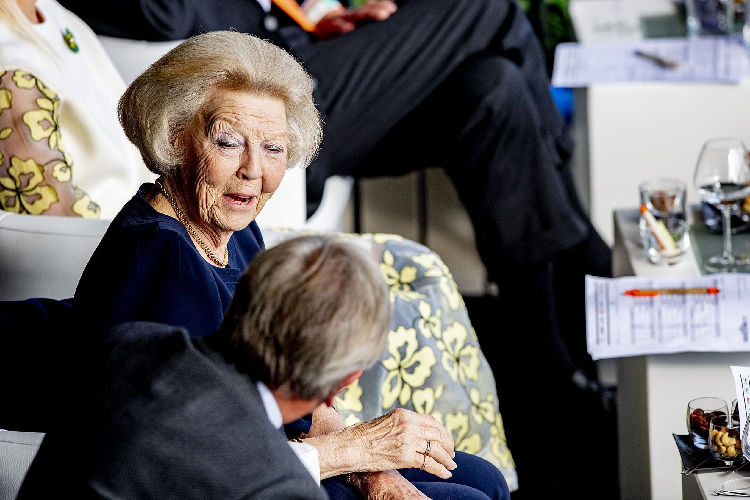 Beatrix_wedstrijd2.jpg