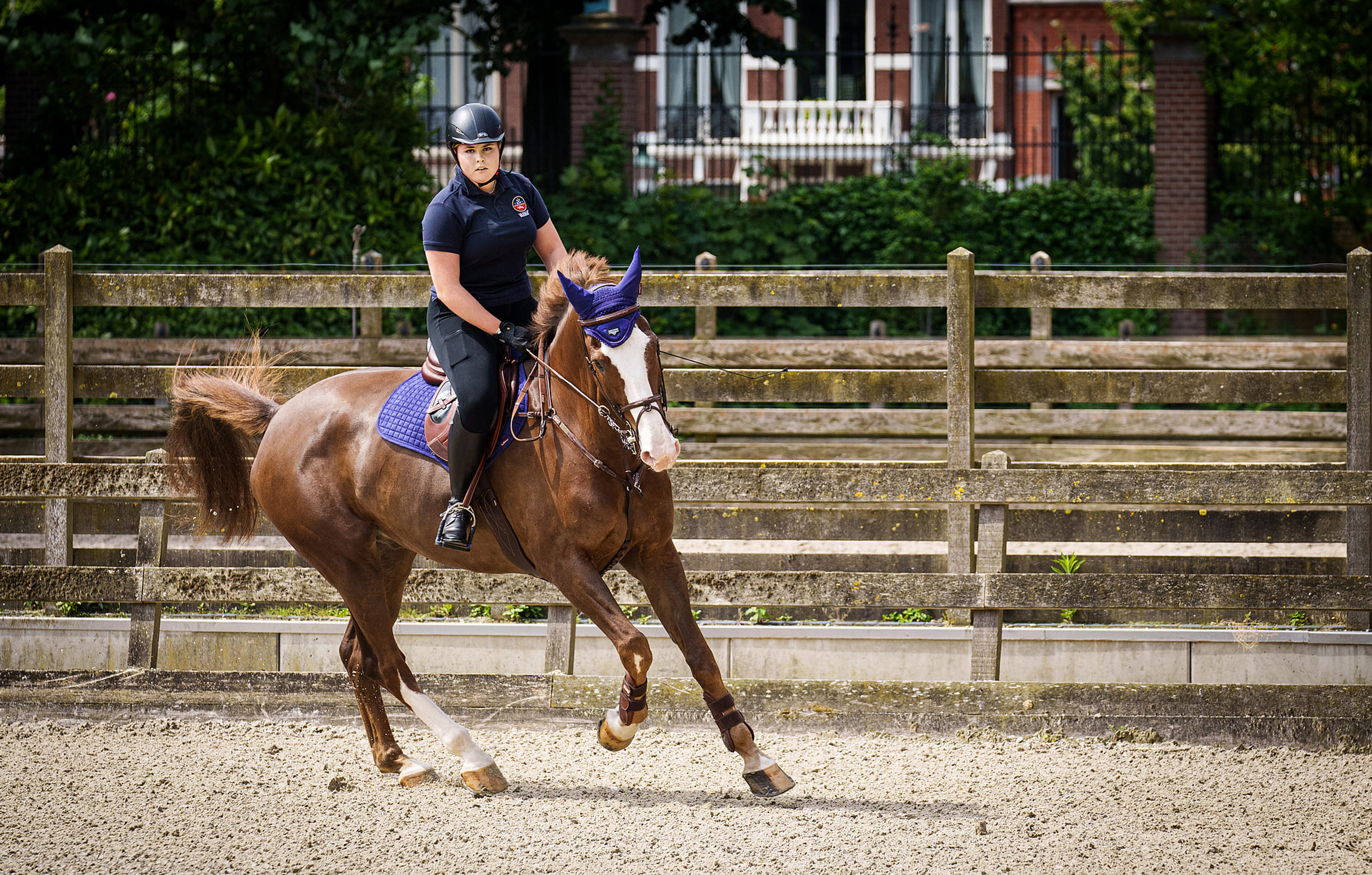 Prinses Amalia op haar paard Mojito.